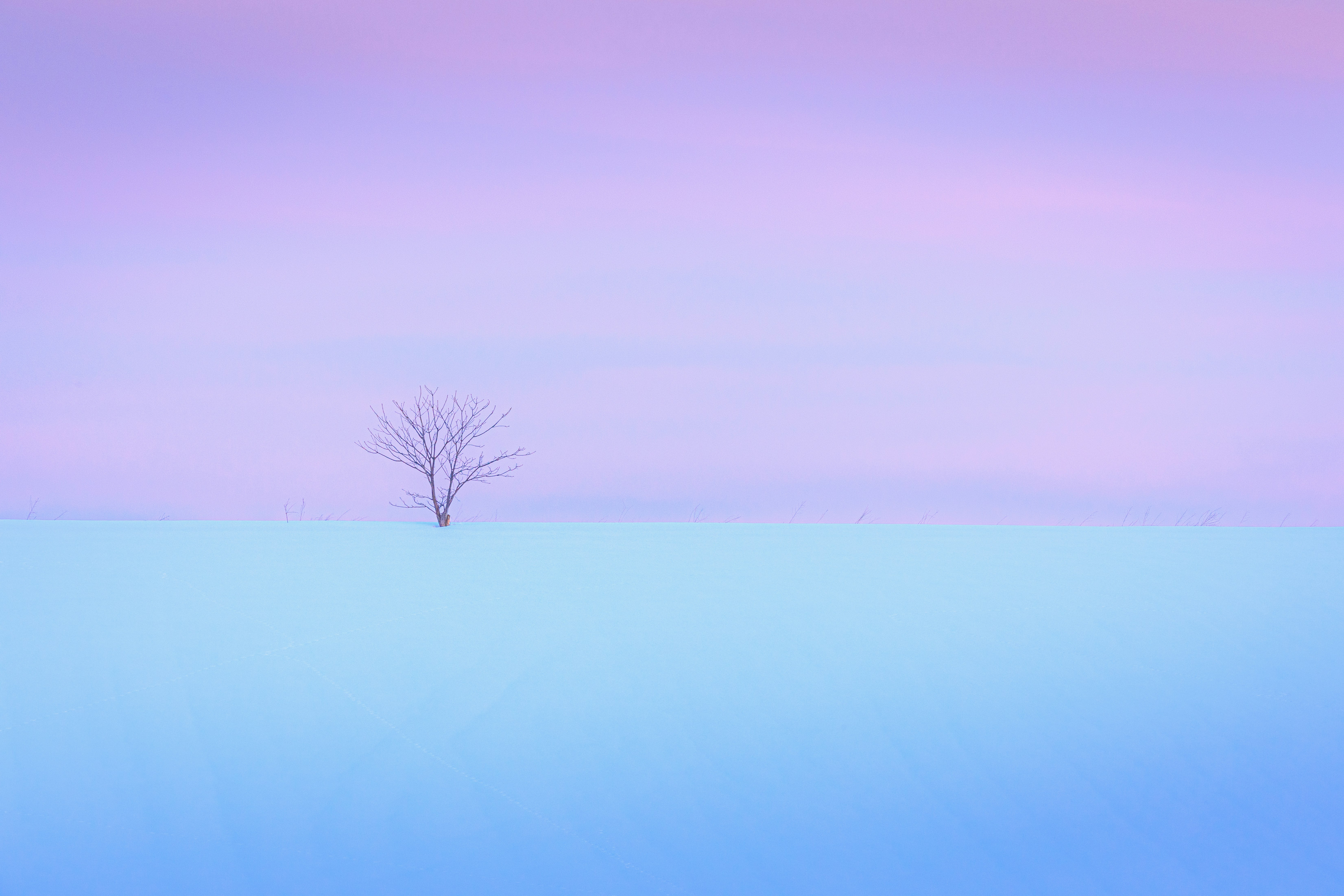 photo-tDnGerLOuEJmFeb99ndq-image