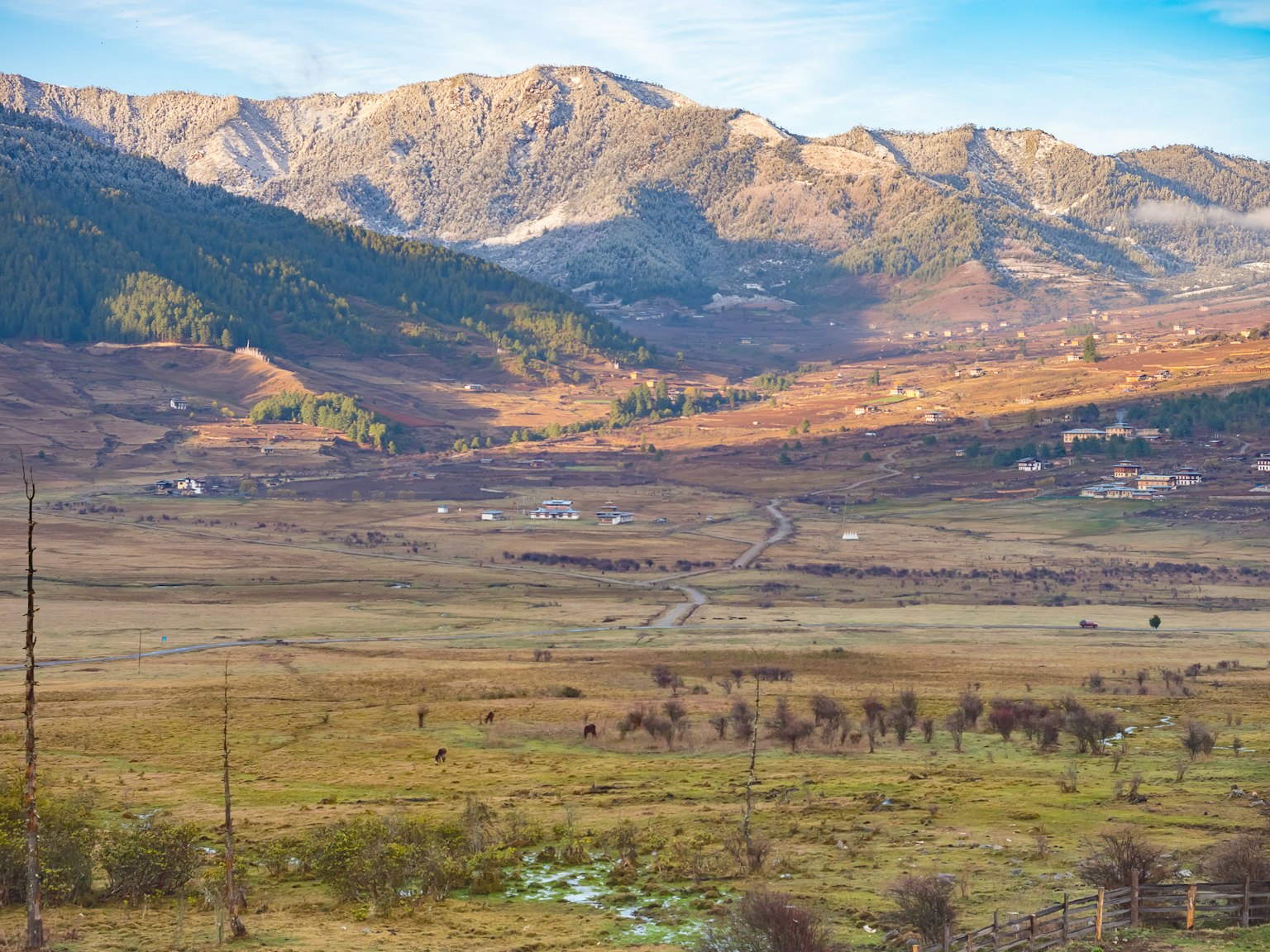 Weite Graslandlandschaft mit Bergen unter einem blauen Himmel