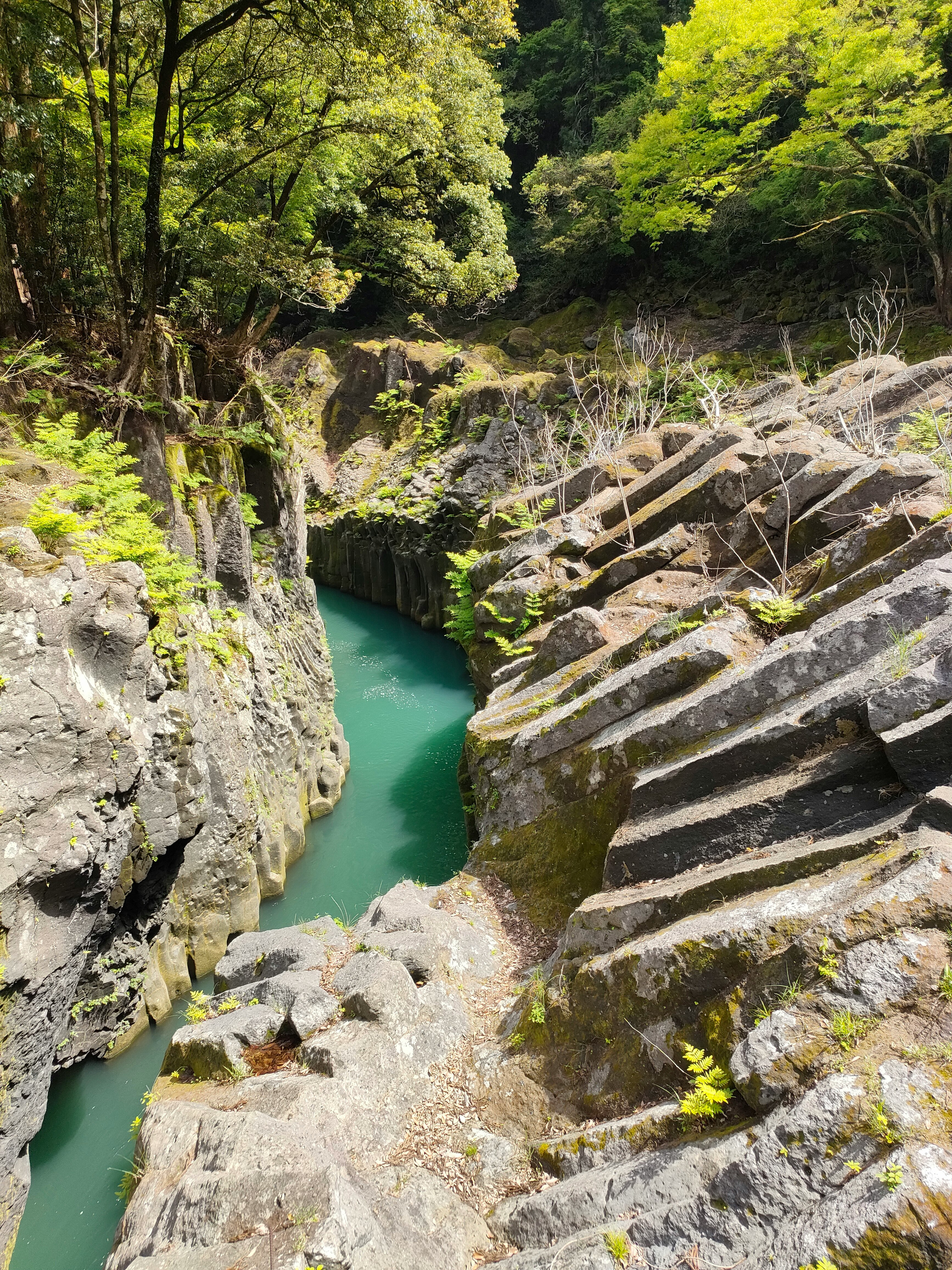 高千穂の渓谷を流れるエメラルド色の川と石積みの小道