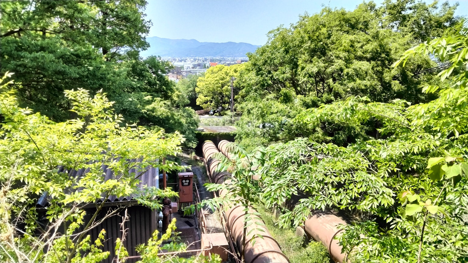 Vista di grandi tubi circondati da verde lussureggiante e montagne lontane
