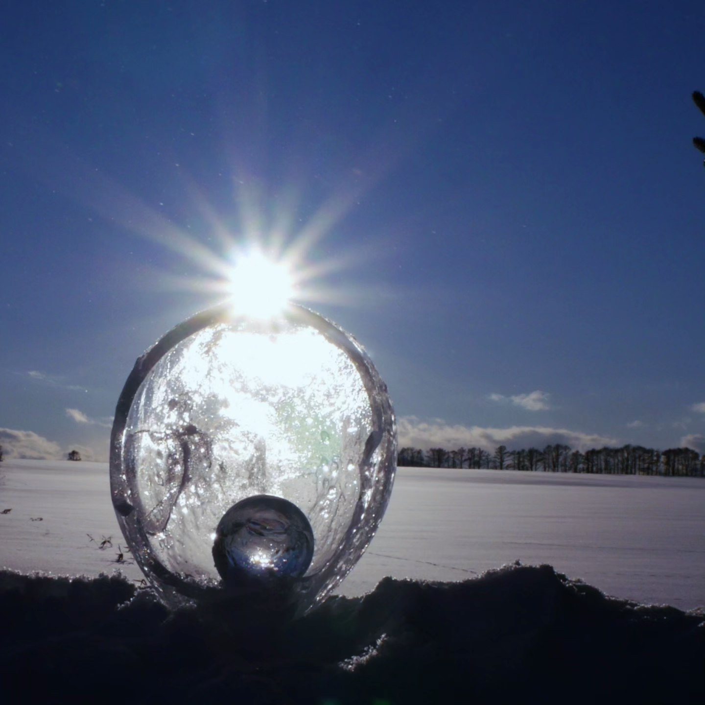 雪原に浮かぶ透明な球体のような水滴と朝日