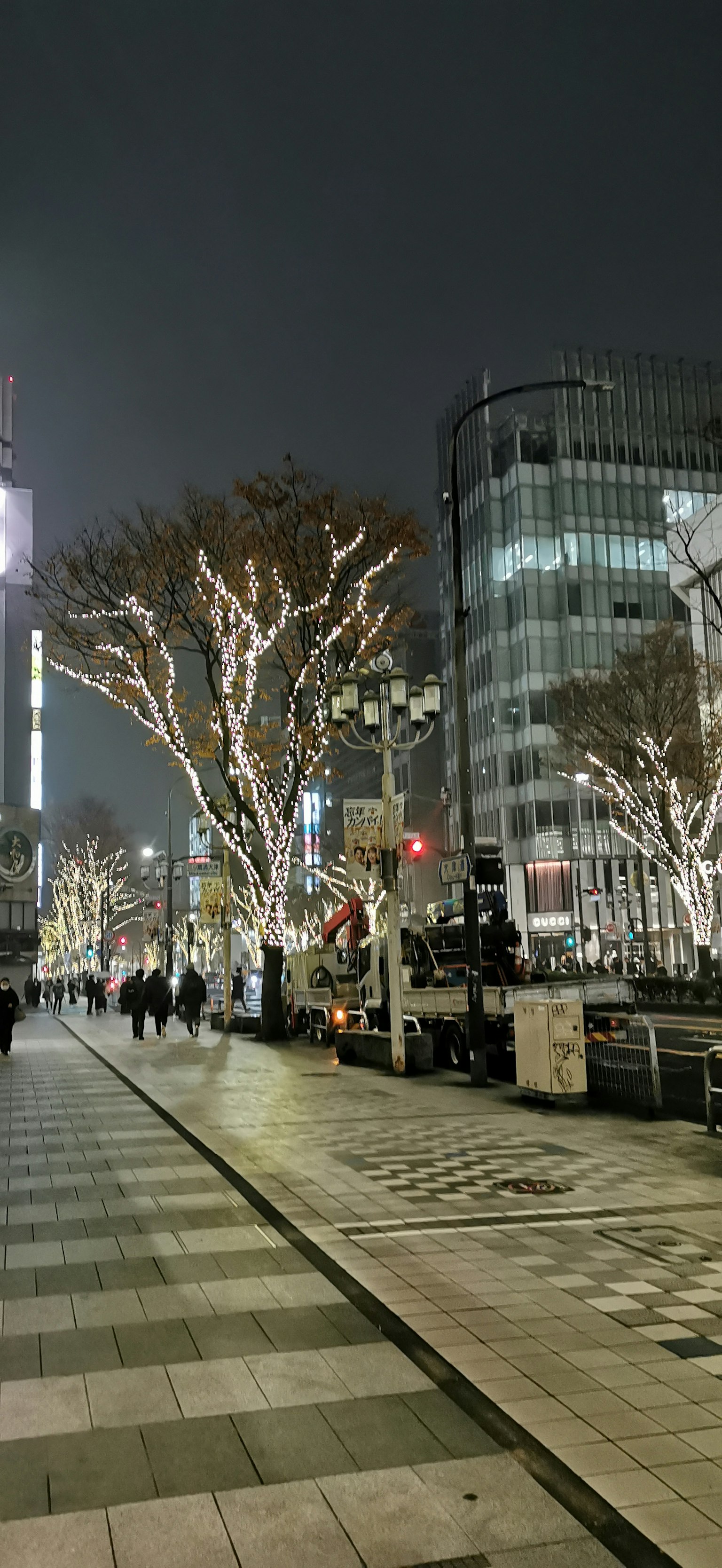 Night cityscape with illuminated trees and people walking