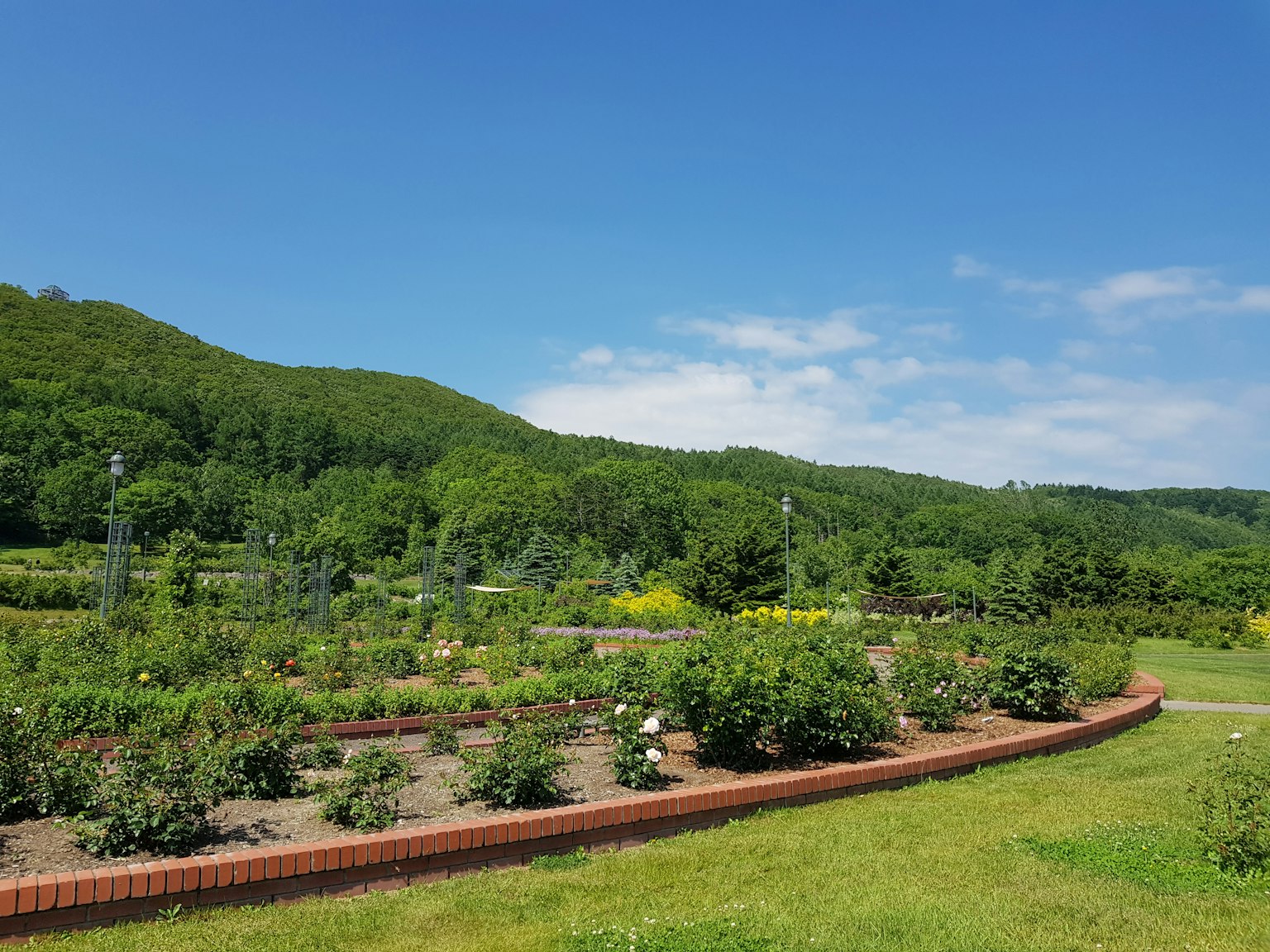 Paesaggio di giardino lussureggiante con cielo blu colline verdi e aiuole di fiori