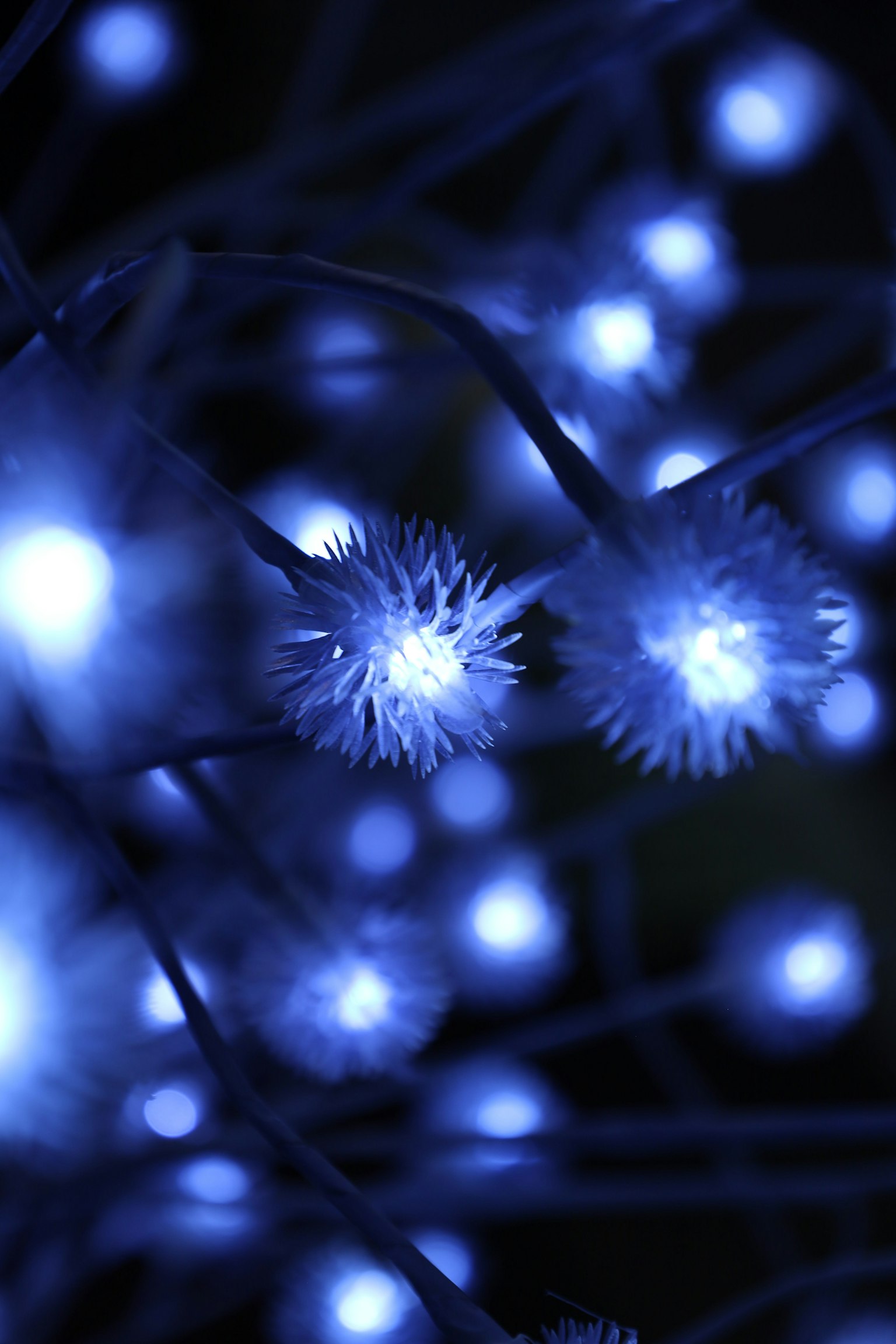 Image featuring glowing blue flower-like objects with intricate details