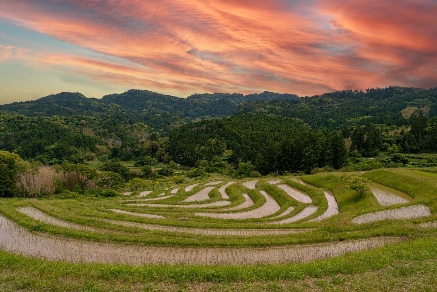 Pintorescas terrazas de arroz con un cielo de atardecer colorido