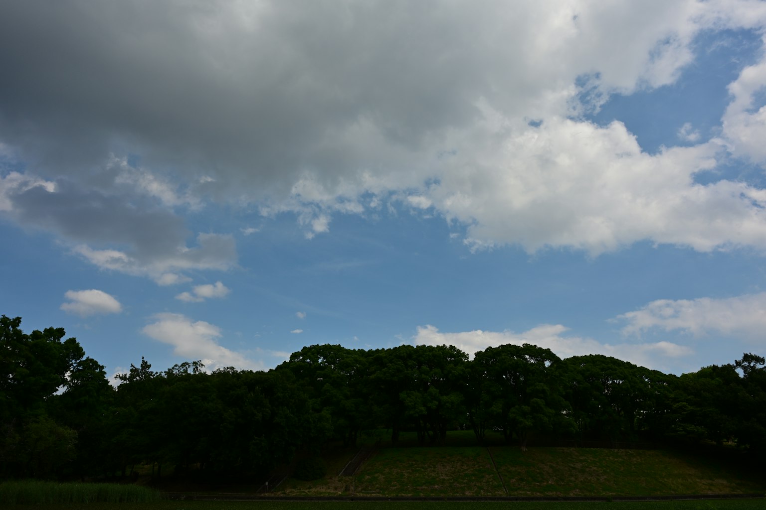 藍天白雲與背景中的綠色樹木的風景