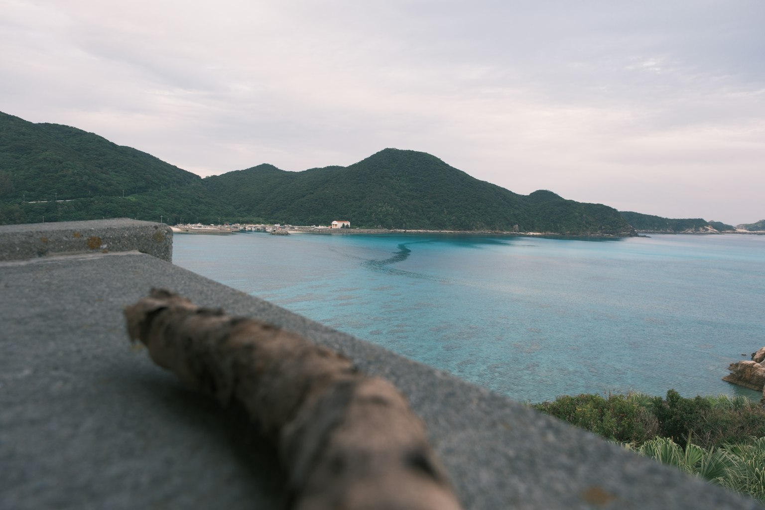前景中有一根树枝和背景中的海岸风景与山脉的照片