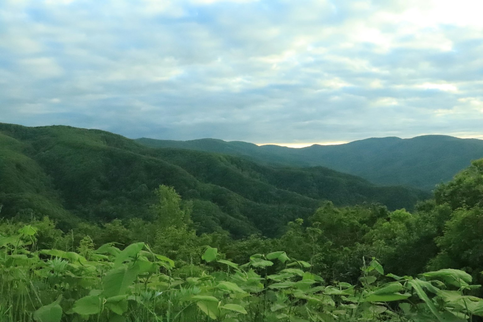 구름이 낀 하늘 아래 푸른 산