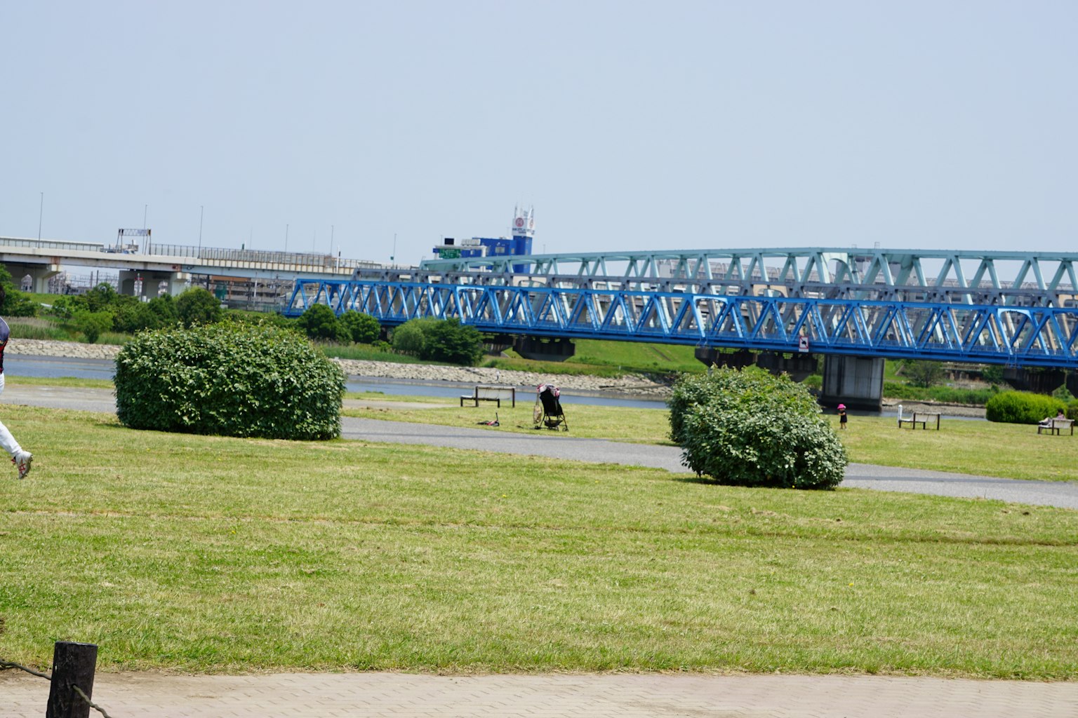 Landscape featuring a blue bridge and green grass