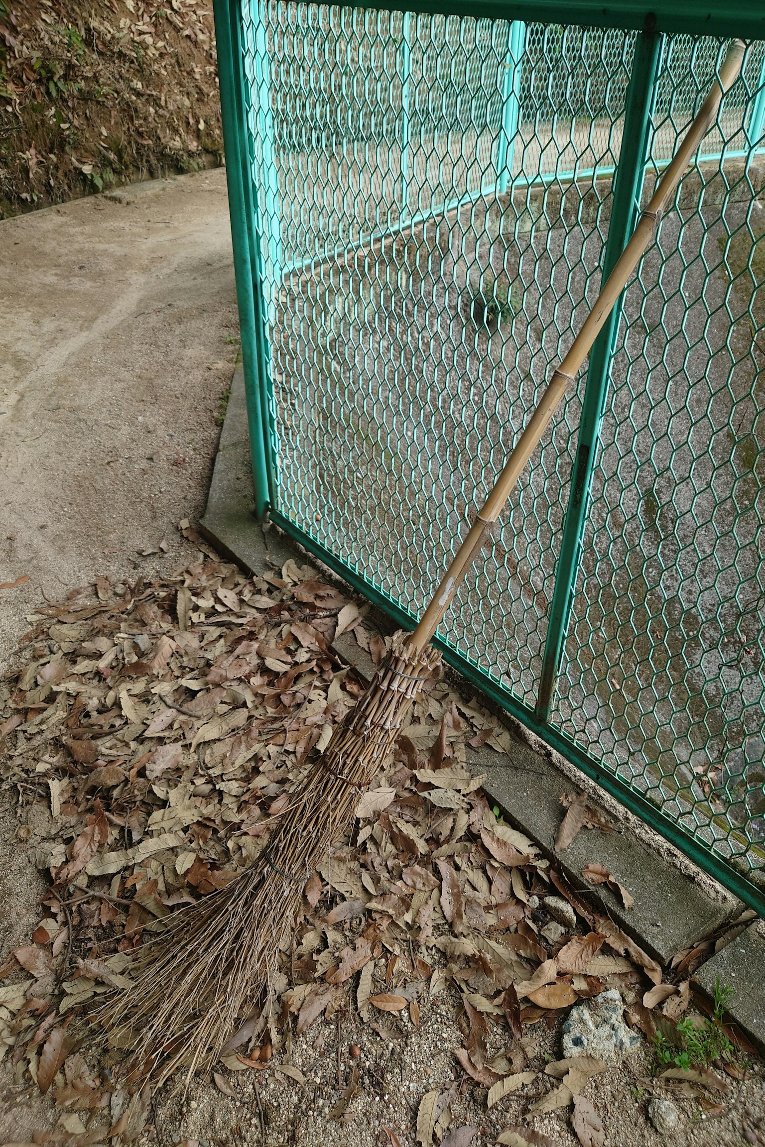 Sebuah sapu tergeletak di atas daun dekat pagar kawat
