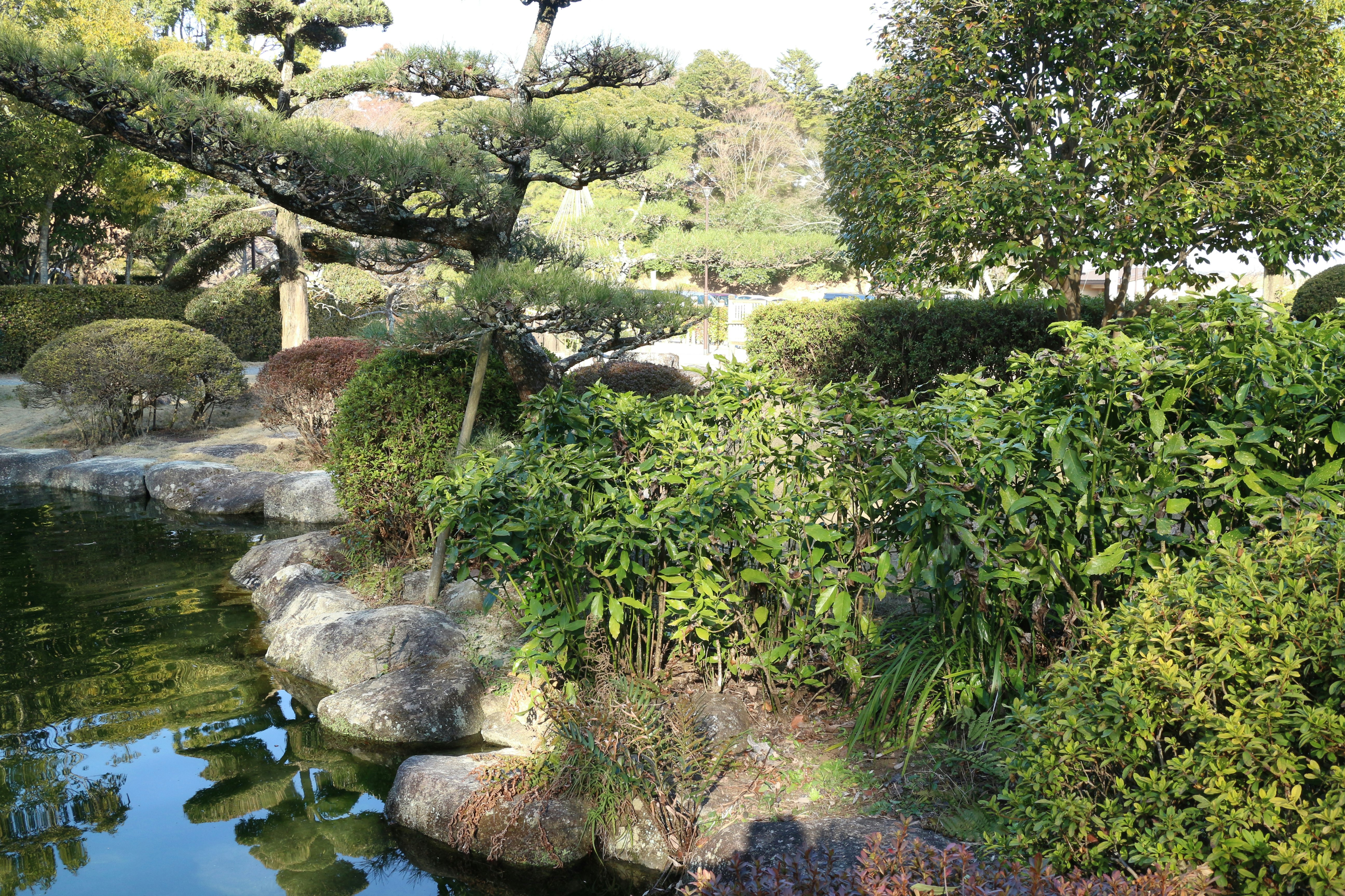 池と苔むした石のある日本庭園の景色