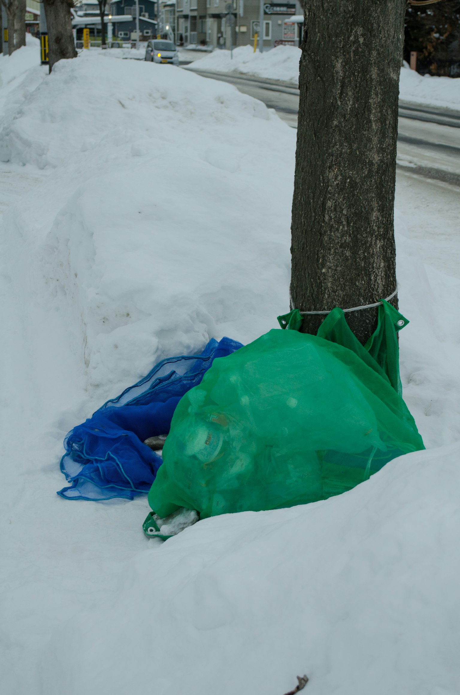 放在雪覆盖地面的绿色和蓝色网袋