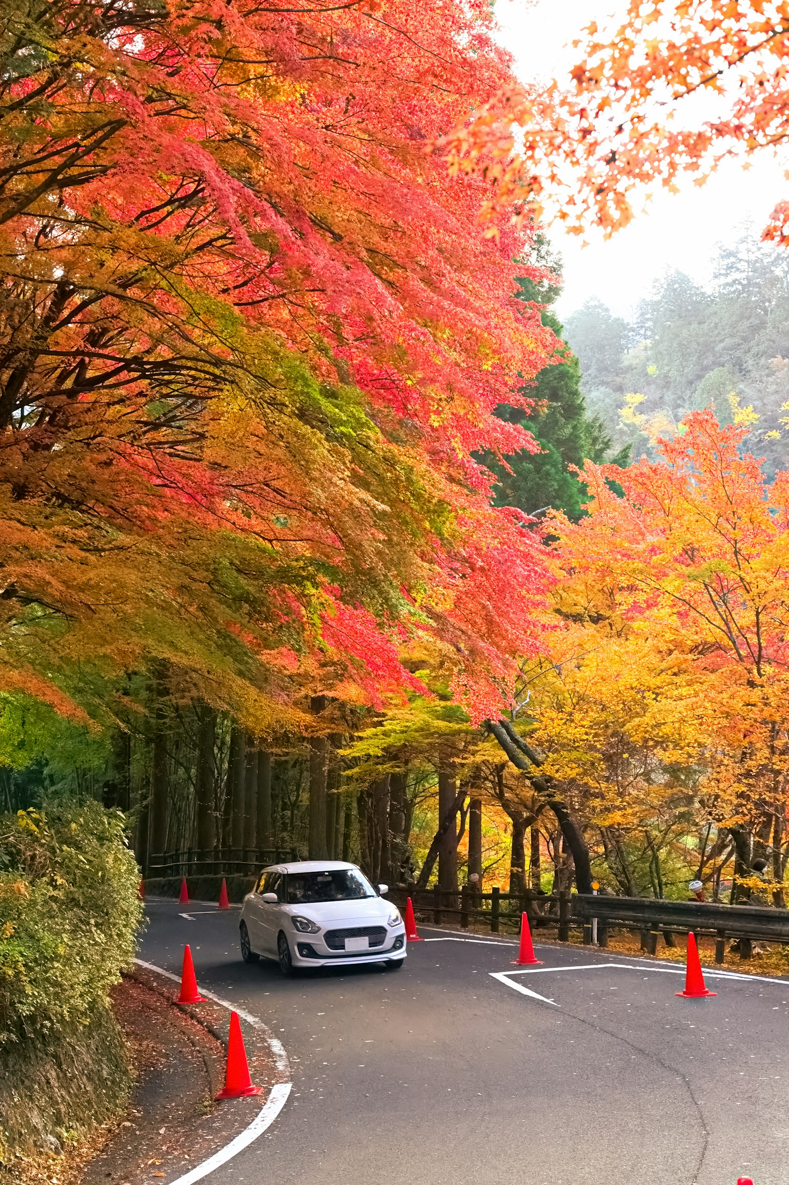 รถยนต์สีขาวขับอยู่บนถนนที่คดเคี้ยวล้อมรอบด้วยใบไม้ฤดูใบไม้ร่วงที่สวยงาม