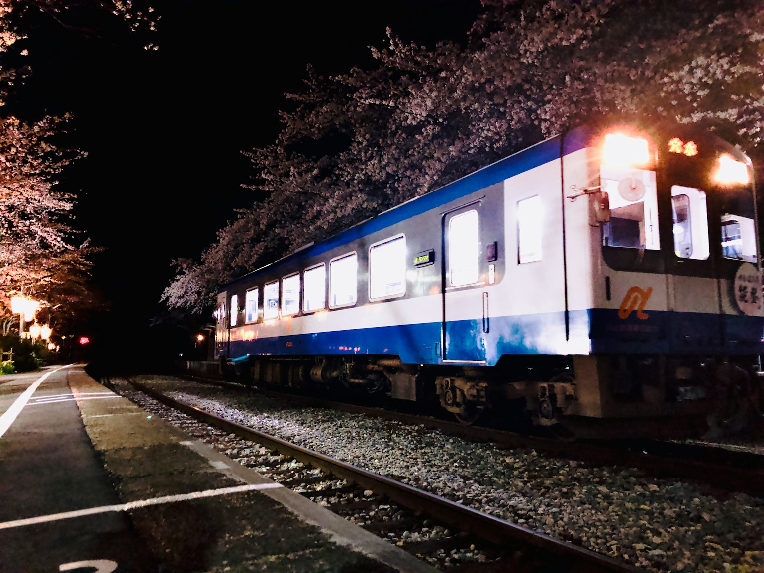 Treno blu parcheggiato sotto i ciliegi in fiore di notte con finestre illuminate