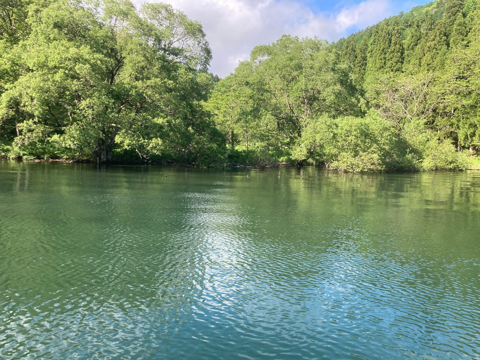 Vista serena di un lago circondato da alberi verdi lussureggianti