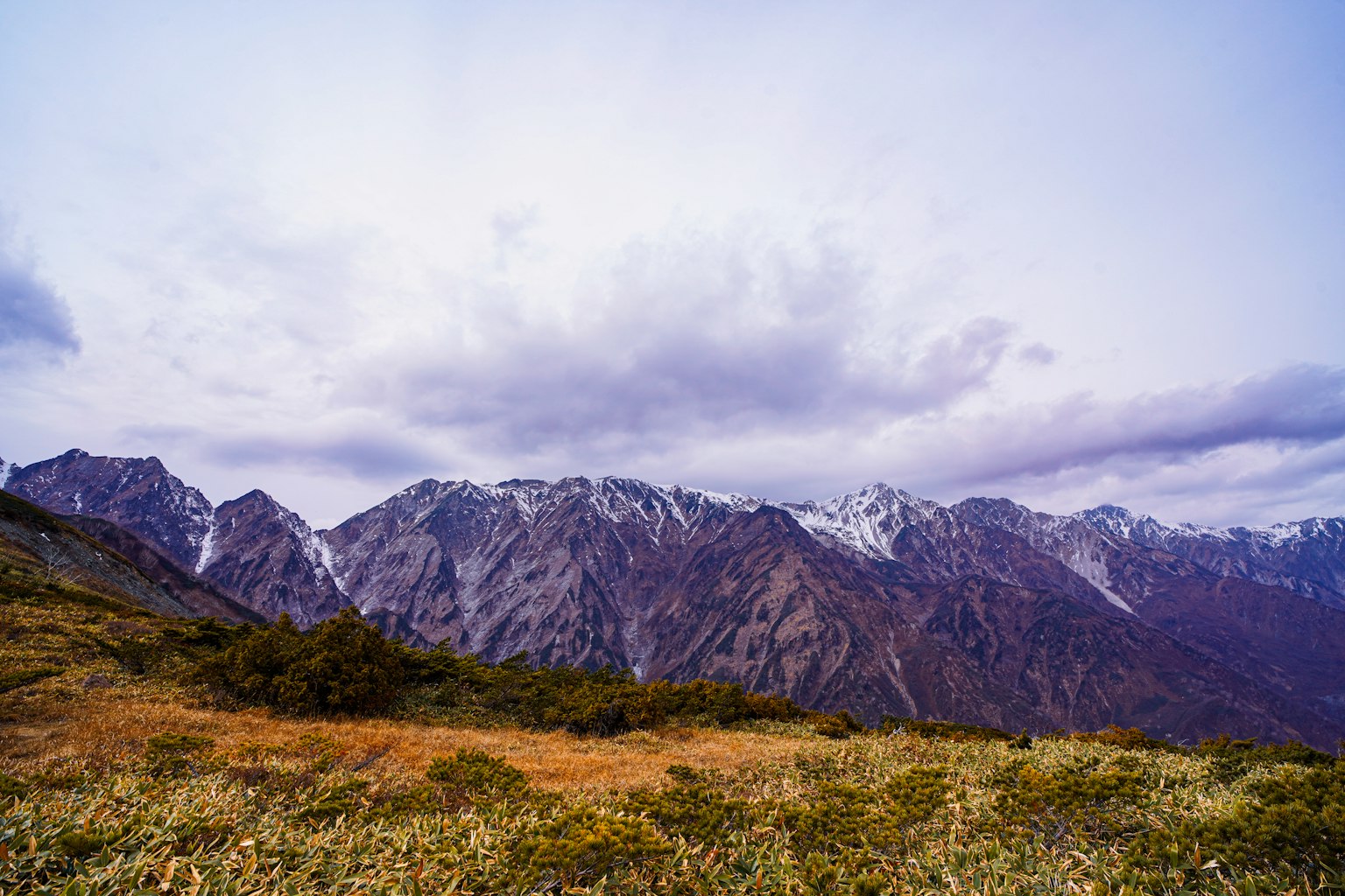雪山与广阔草地的风景