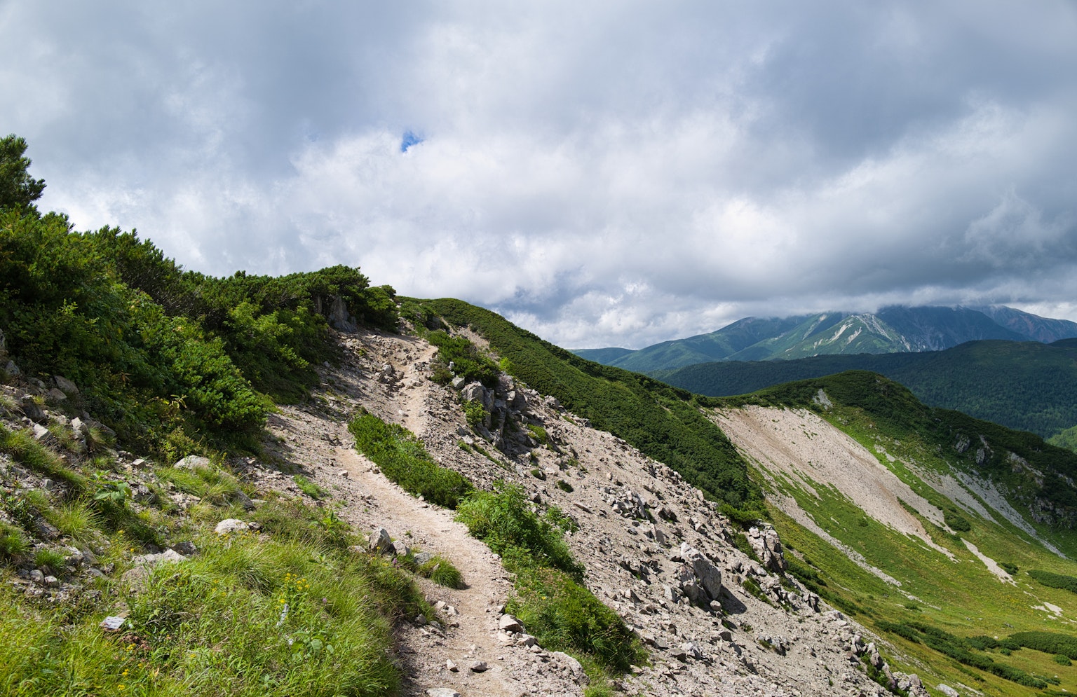 Paesaggio montano con un sentiero roccioso circondato da vegetazione
