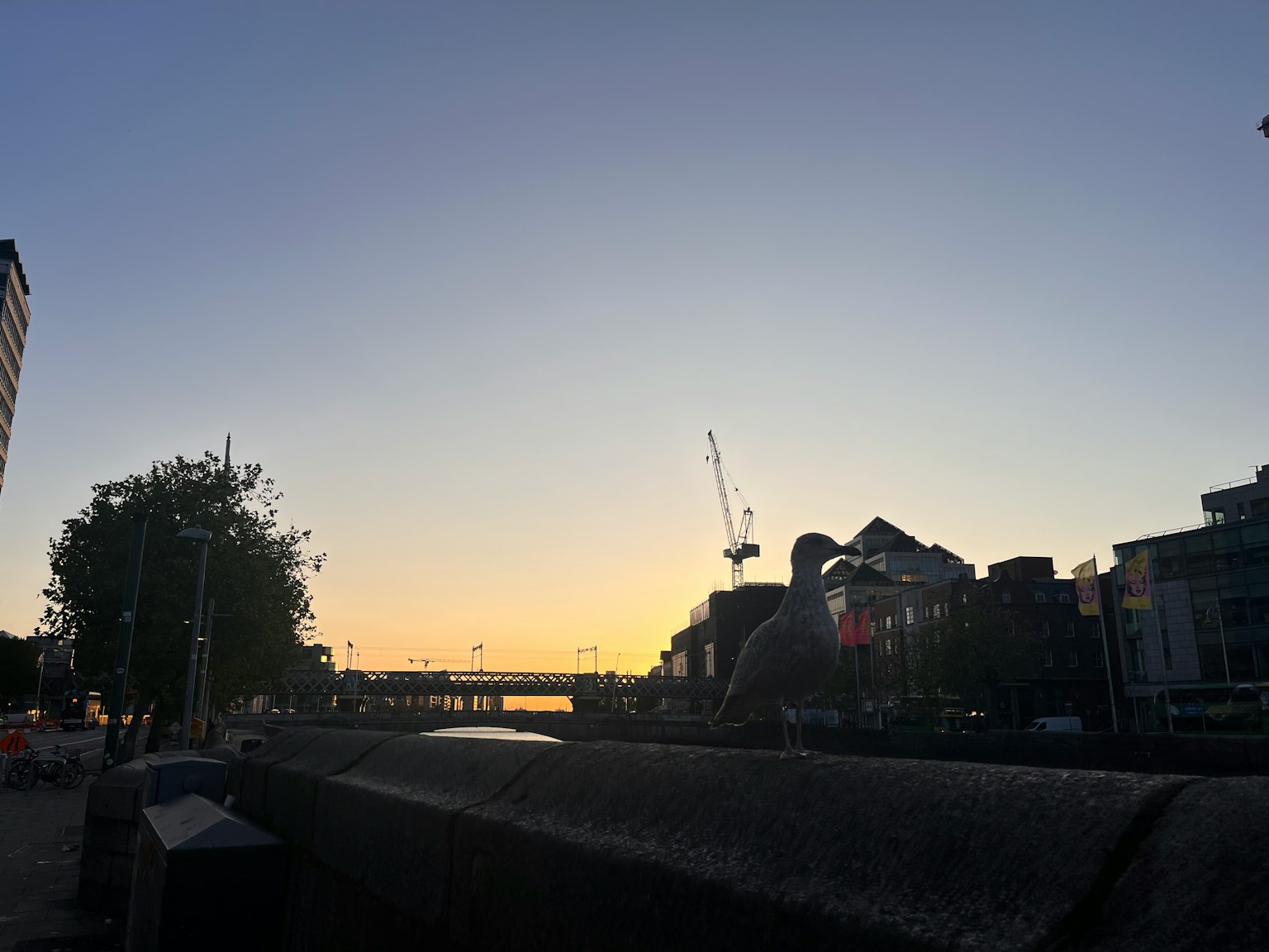 黄昏时分的河边景色和起重机
