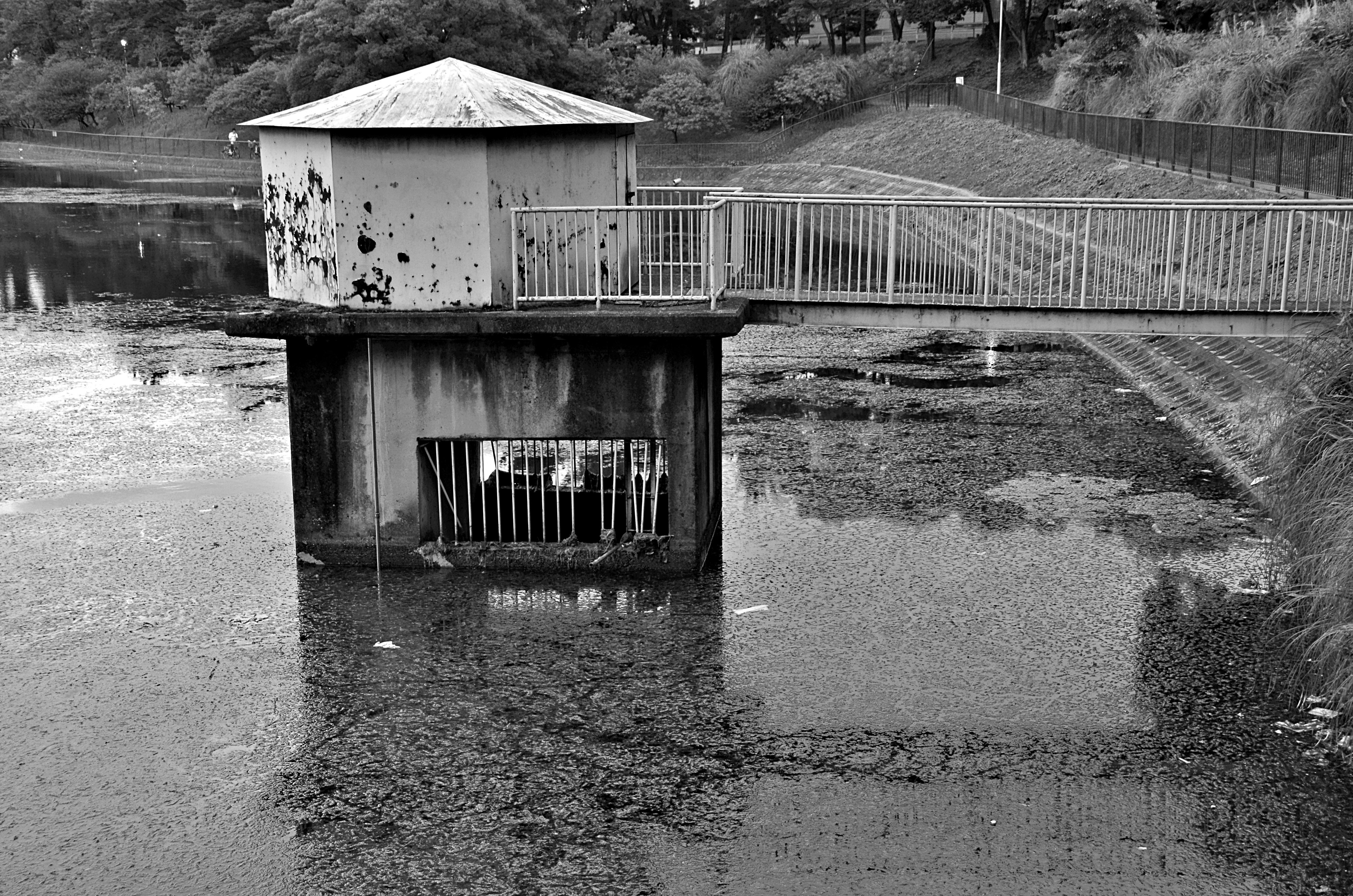 水辺に建つコンクリートの小屋と柵