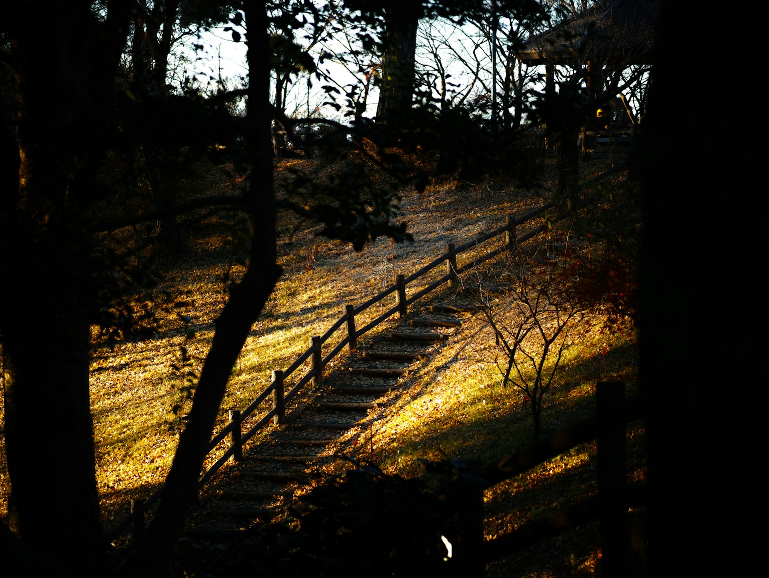 photo-tJx8Mt0e0pAfhIto5jkR-image
