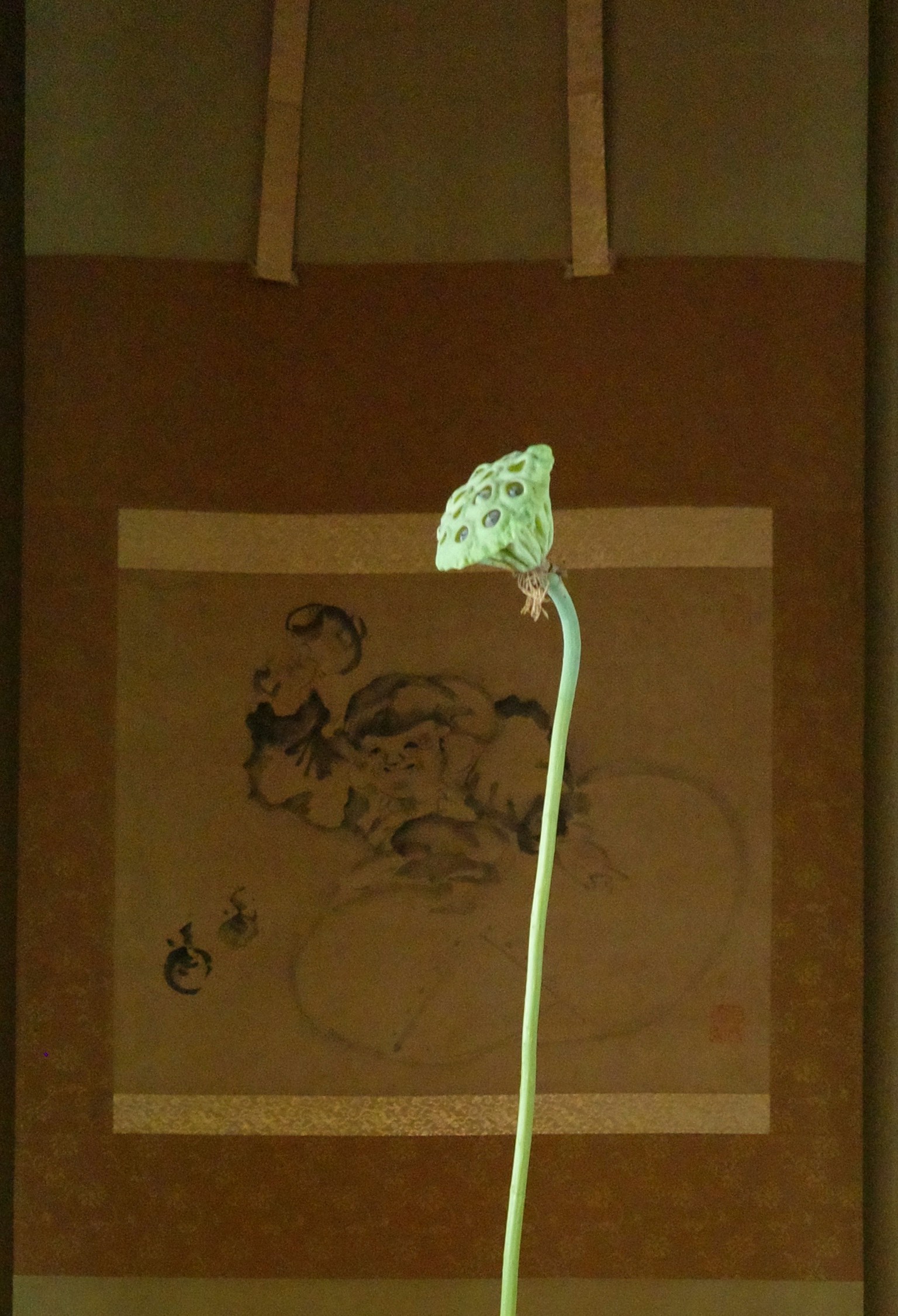 젊은 연꽃 줄기가 연꽃이 그려진 걸개 그림 앞에 서 있다