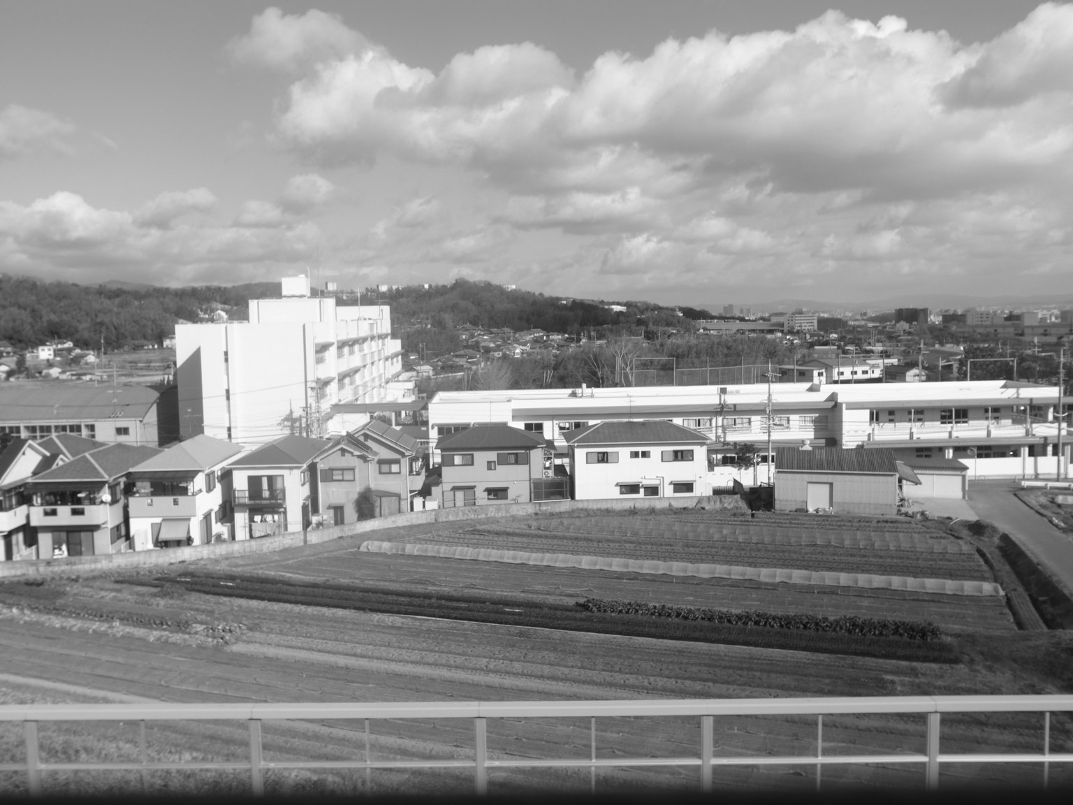 Black and white landscape photo showing a school and residential buildings