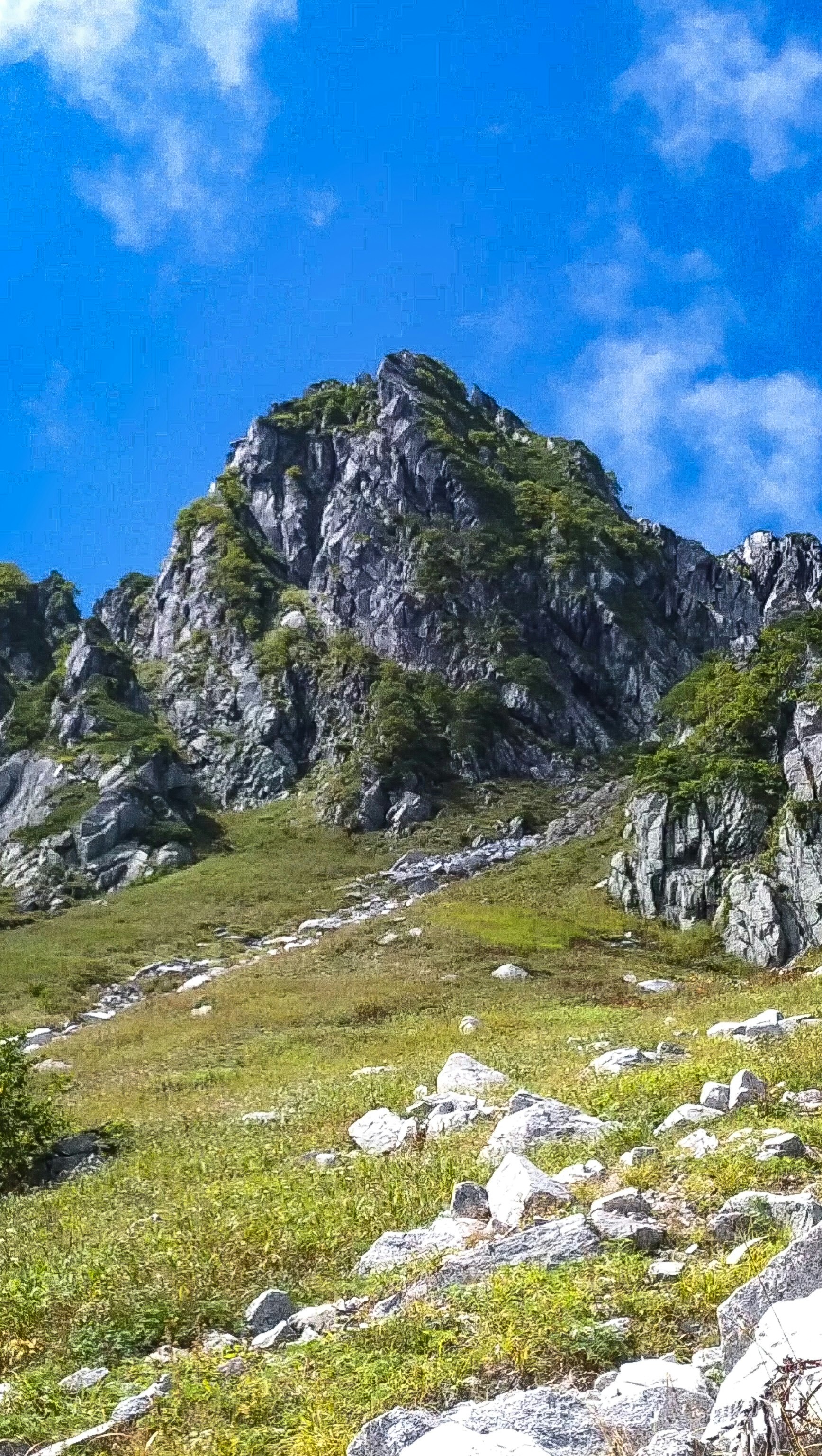 中央阿尔卑斯草坡与岩峰上的宝剑岳