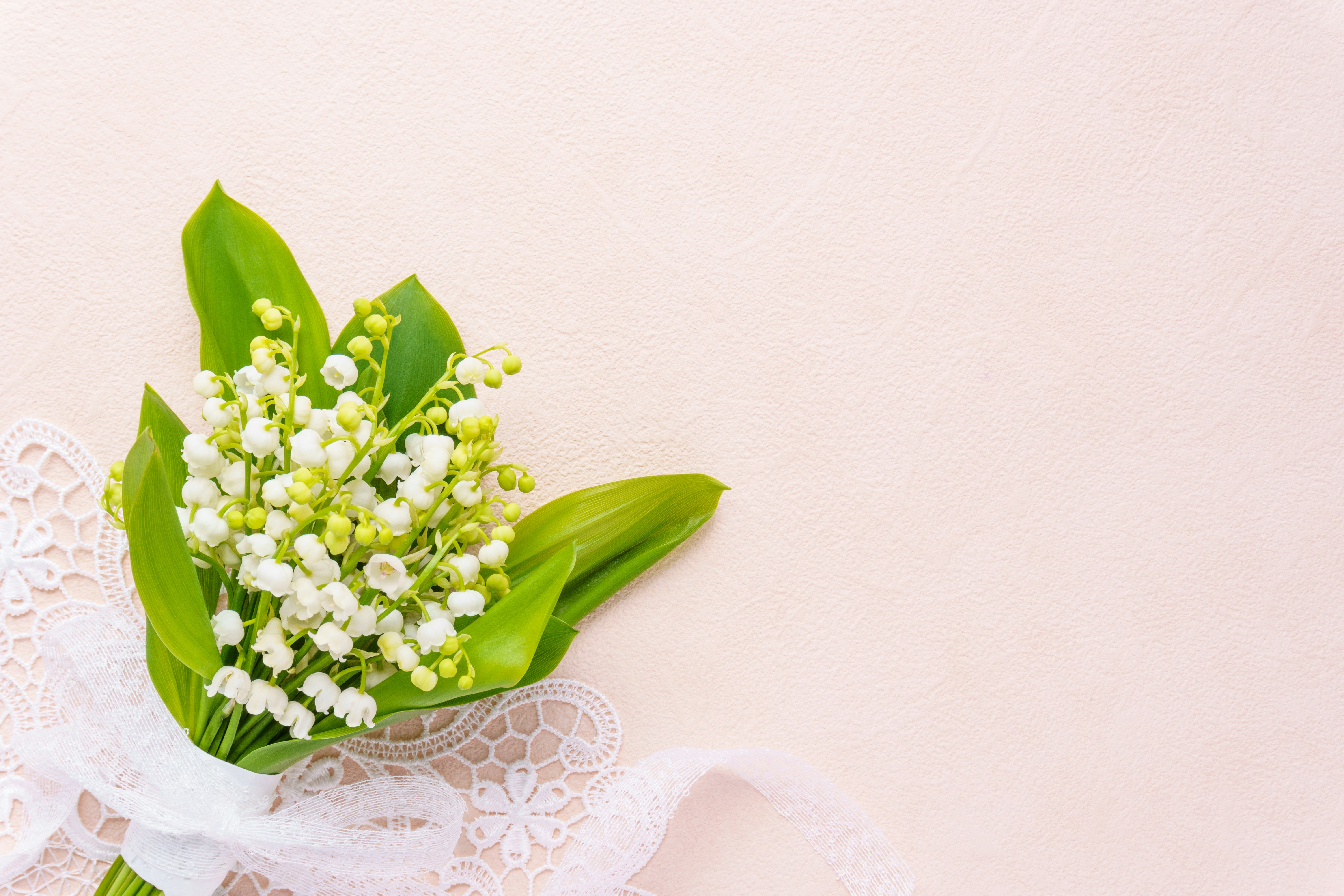 ramo de pequeñas flores blancas con hojas verdes