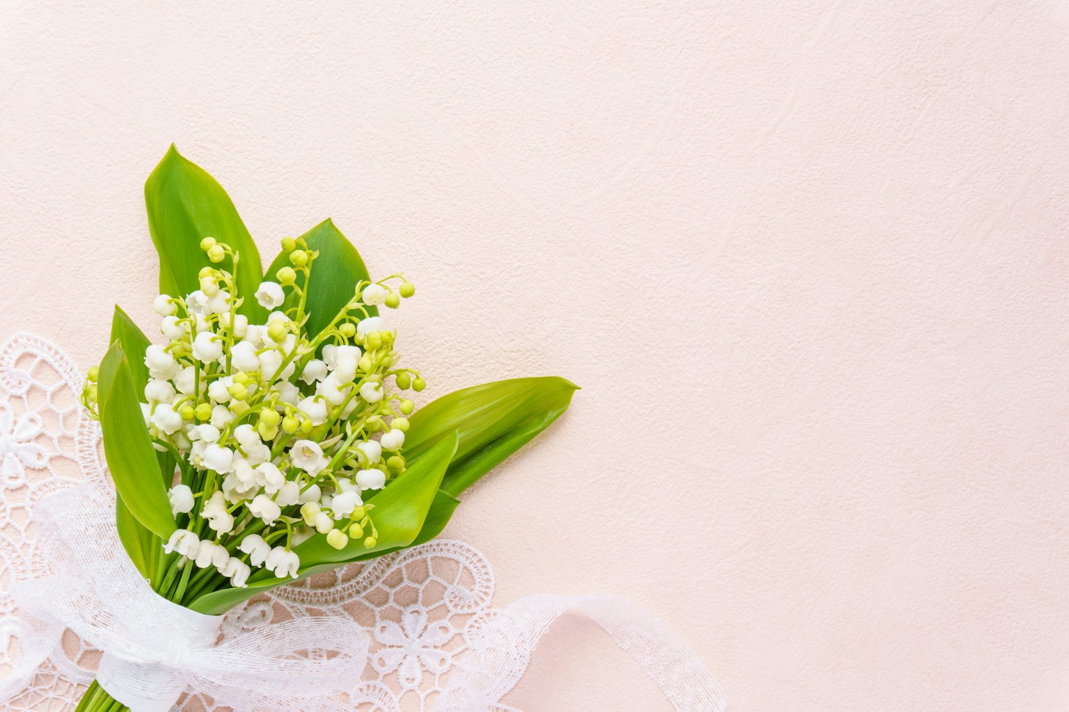 Bellissimo bouquet di mughetti bianchi con foglie verdi legato con un nastro