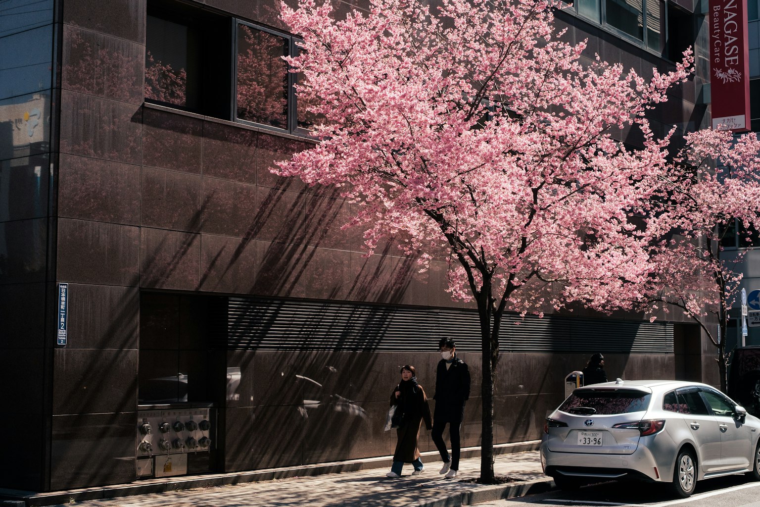 Urban scene featuring a cherry blossom tree and pedestrians