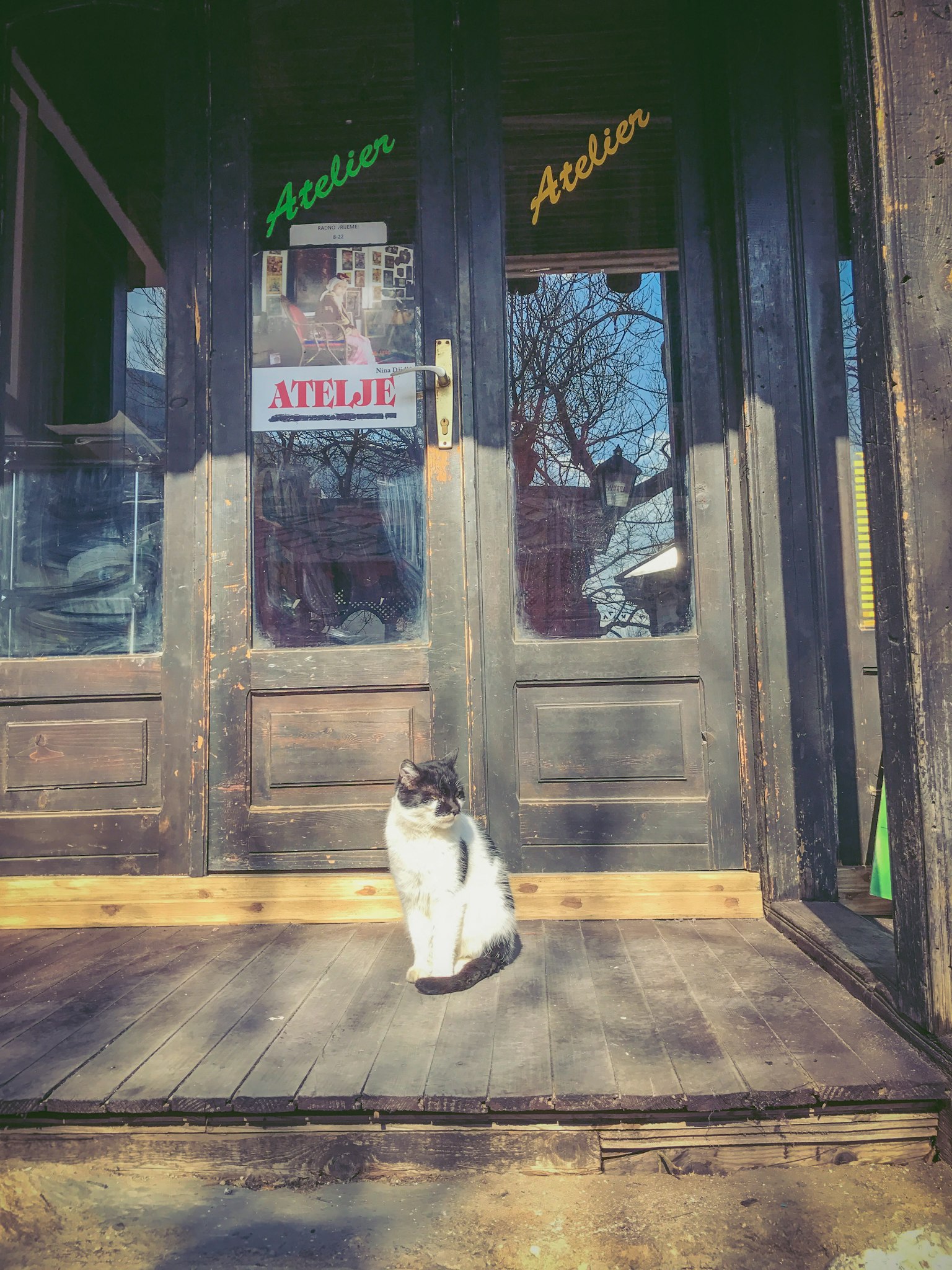 Un gato sentado frente a una puerta de madera antigua con letreros de Atelier