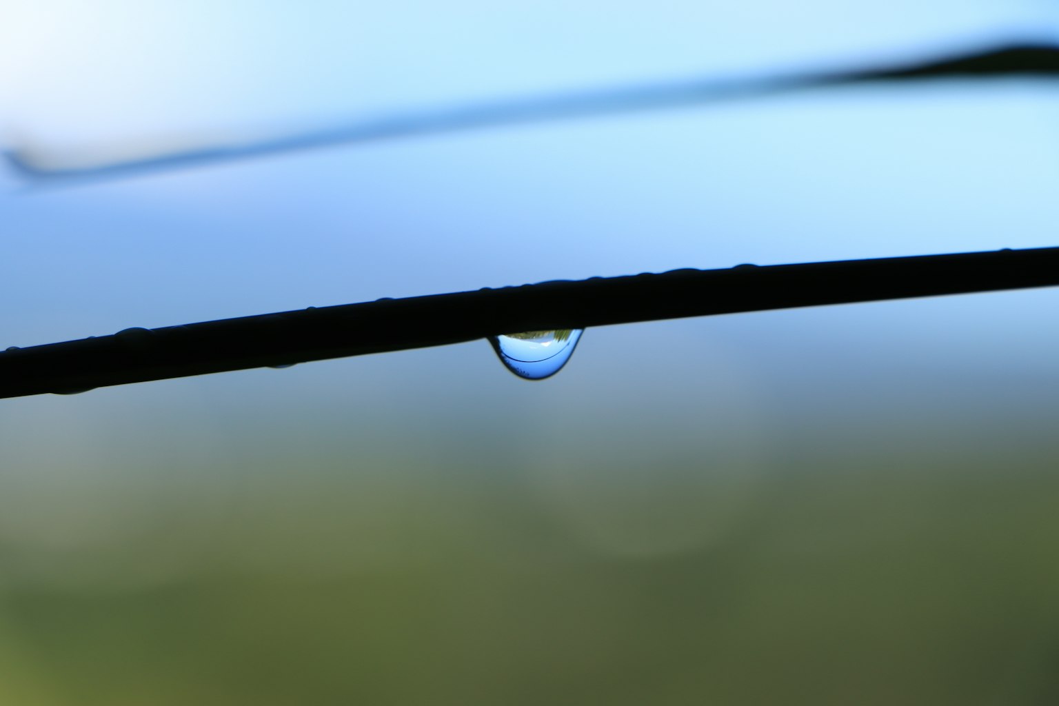 Une goutte d'eau suspendue à une branche avec un fond bleu