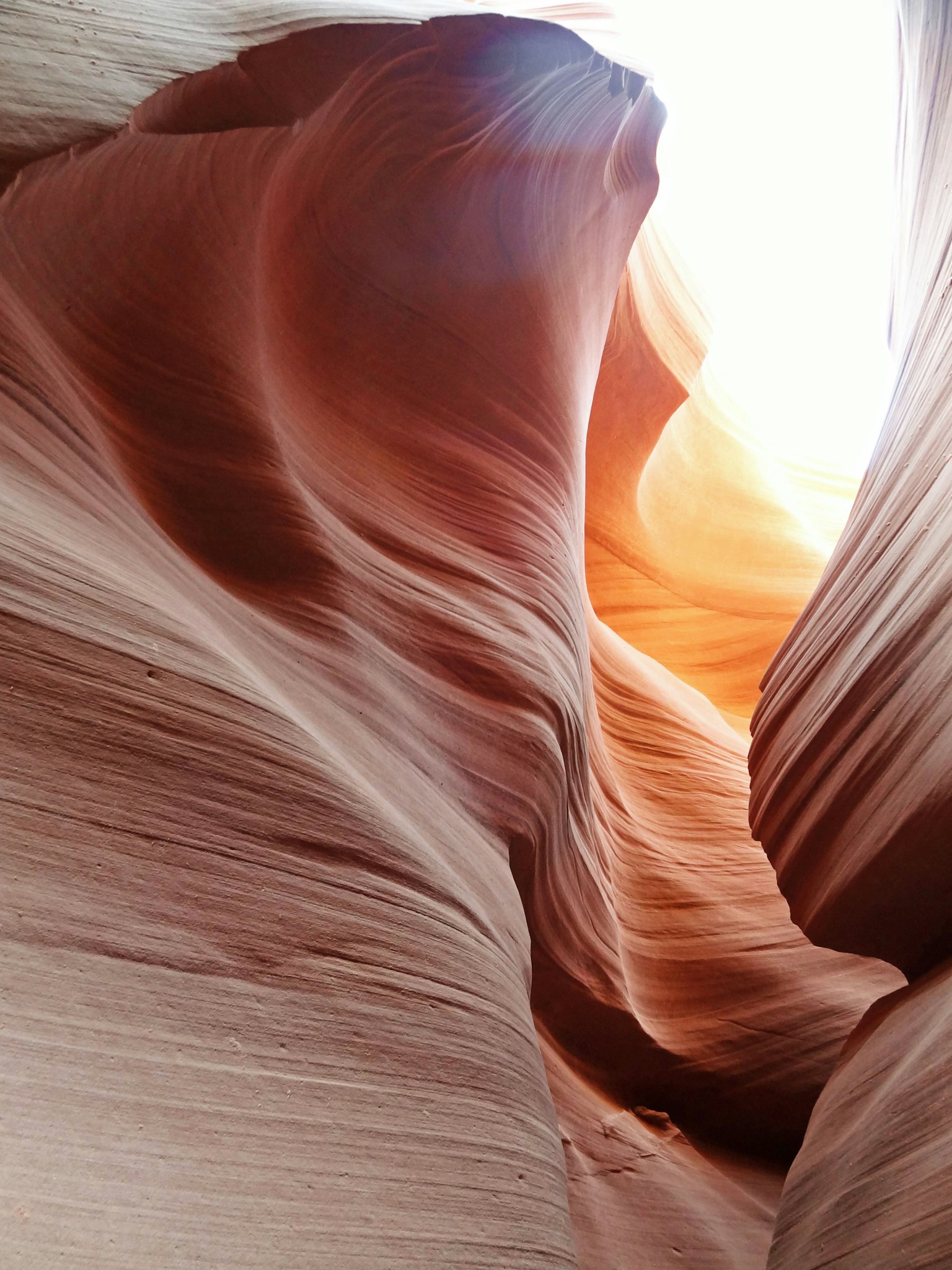Vista splendida dell'interno di un canyon di roccia rossa con la luce del sole che entra