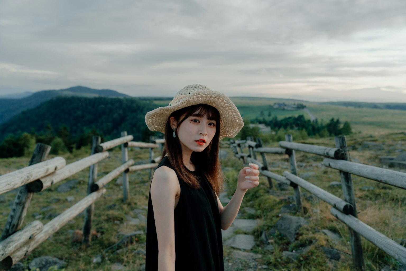 Retrato de una mujer con un vestido negro de pie frente a un paisaje verde y una cerca de madera