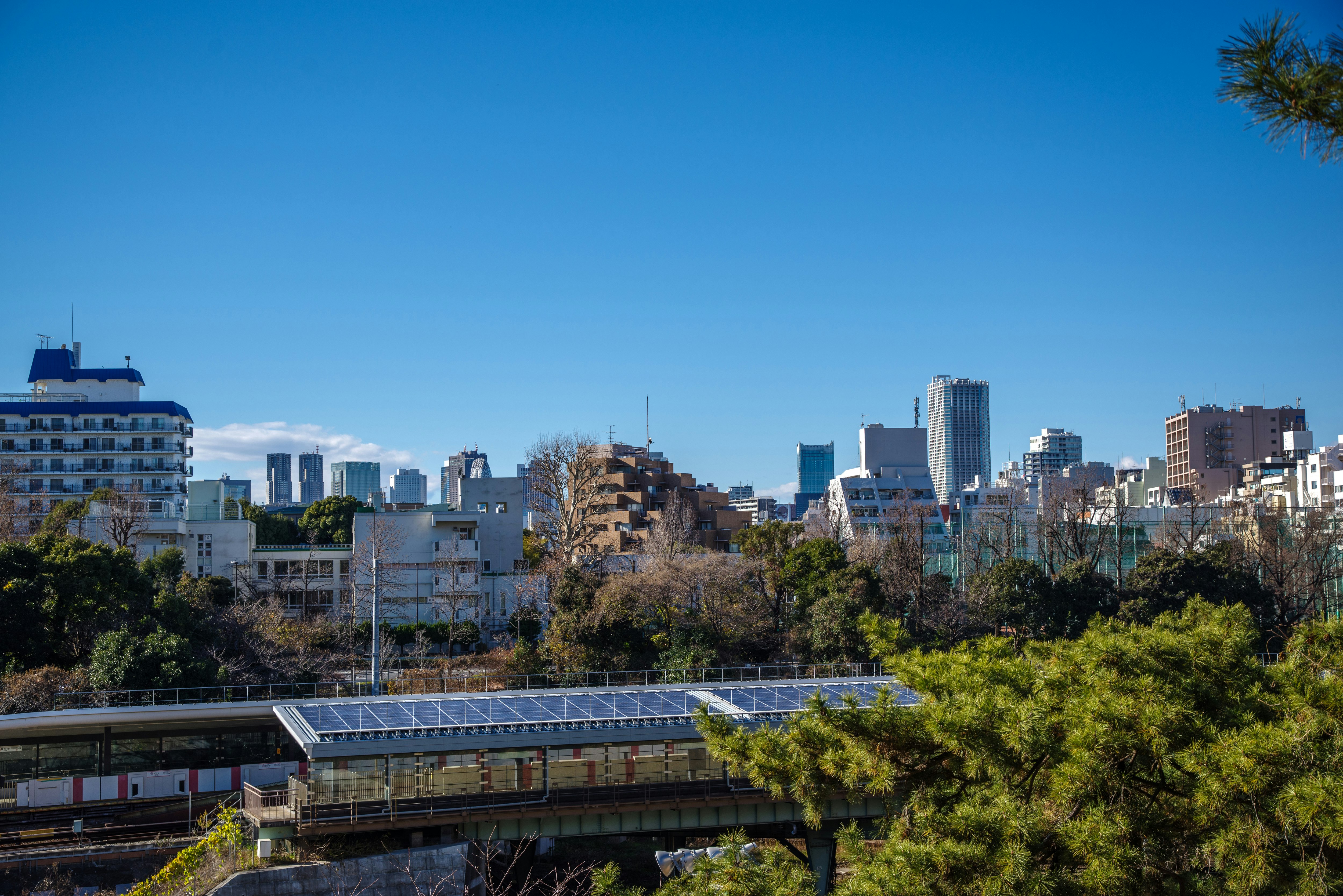 Urban landscape under a blue sky with green trees