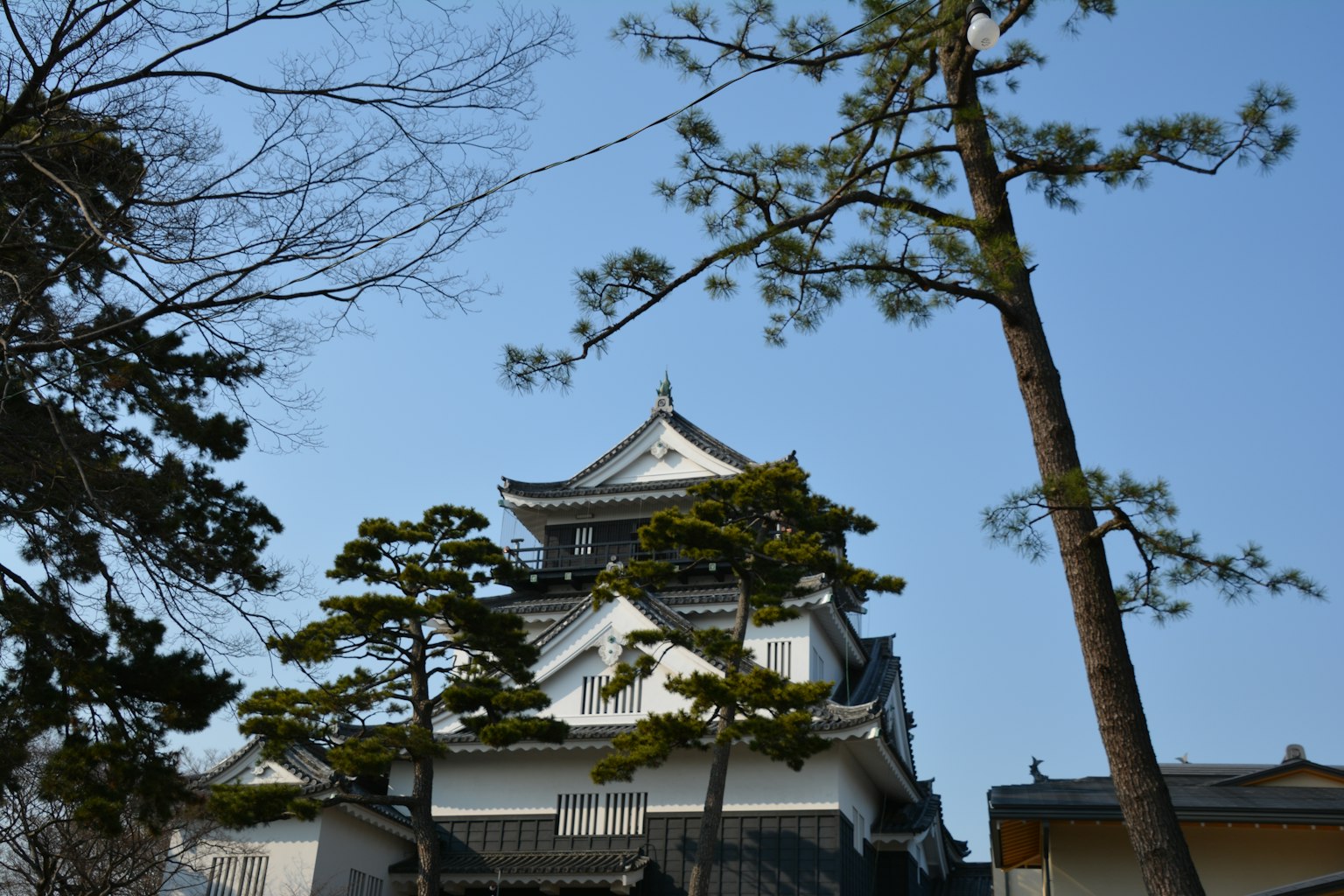 白色城堡与蓝天和松树