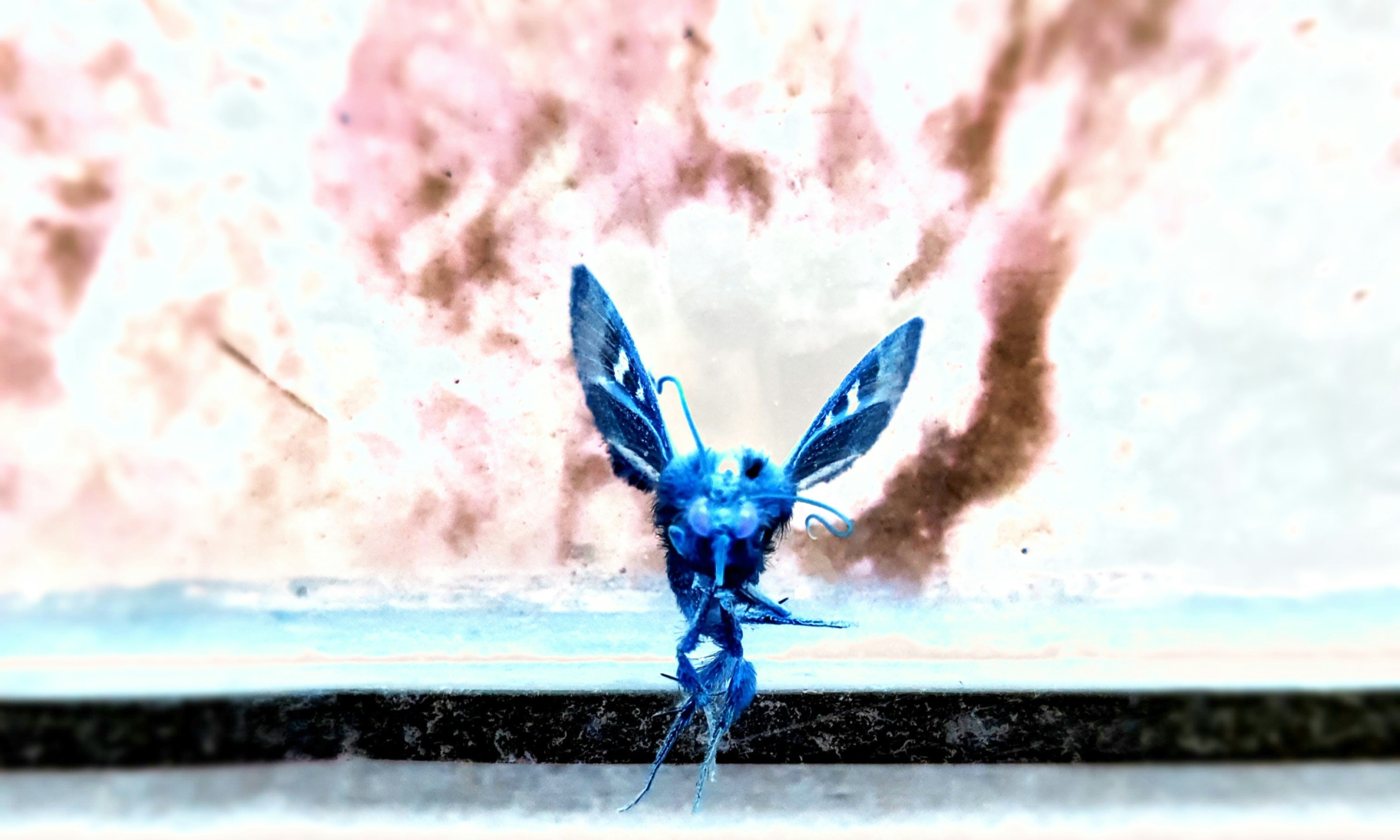 噴水の水しぶきの中の青い昆虫のようなキャラクター