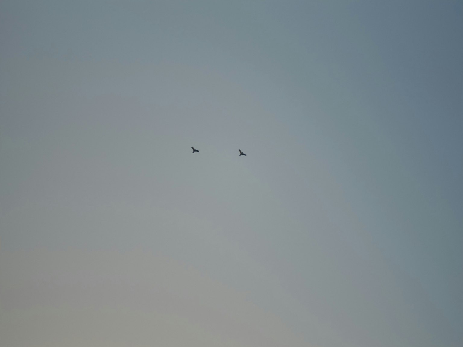 photo-tPwXRdGEv7p2H10jo8sm-image