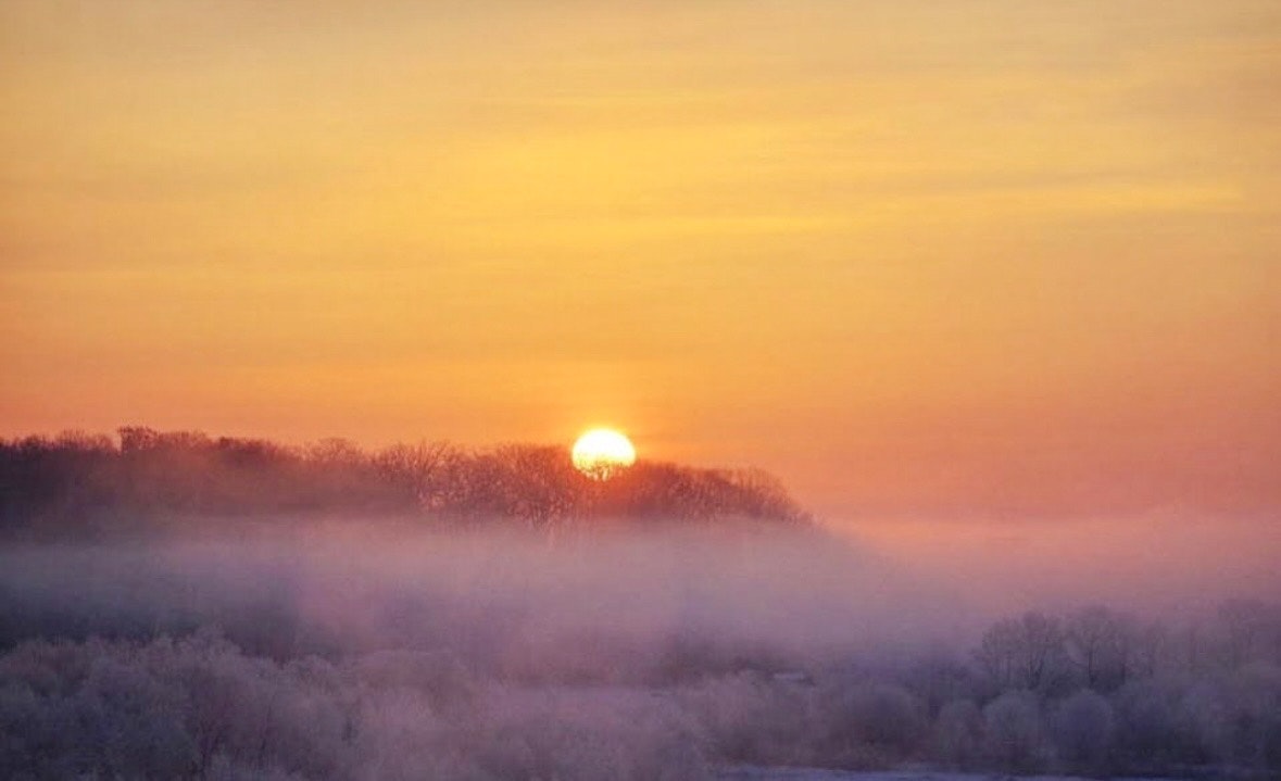coucher de soleil sur une forêt brumeuse