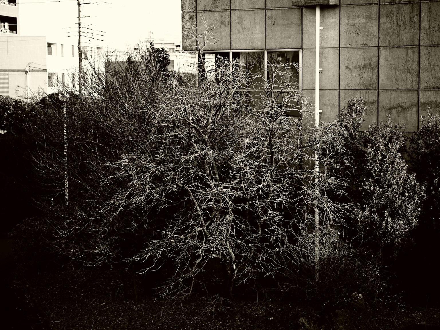 photo-tQOCZqeLogllowqcr9Dj-image