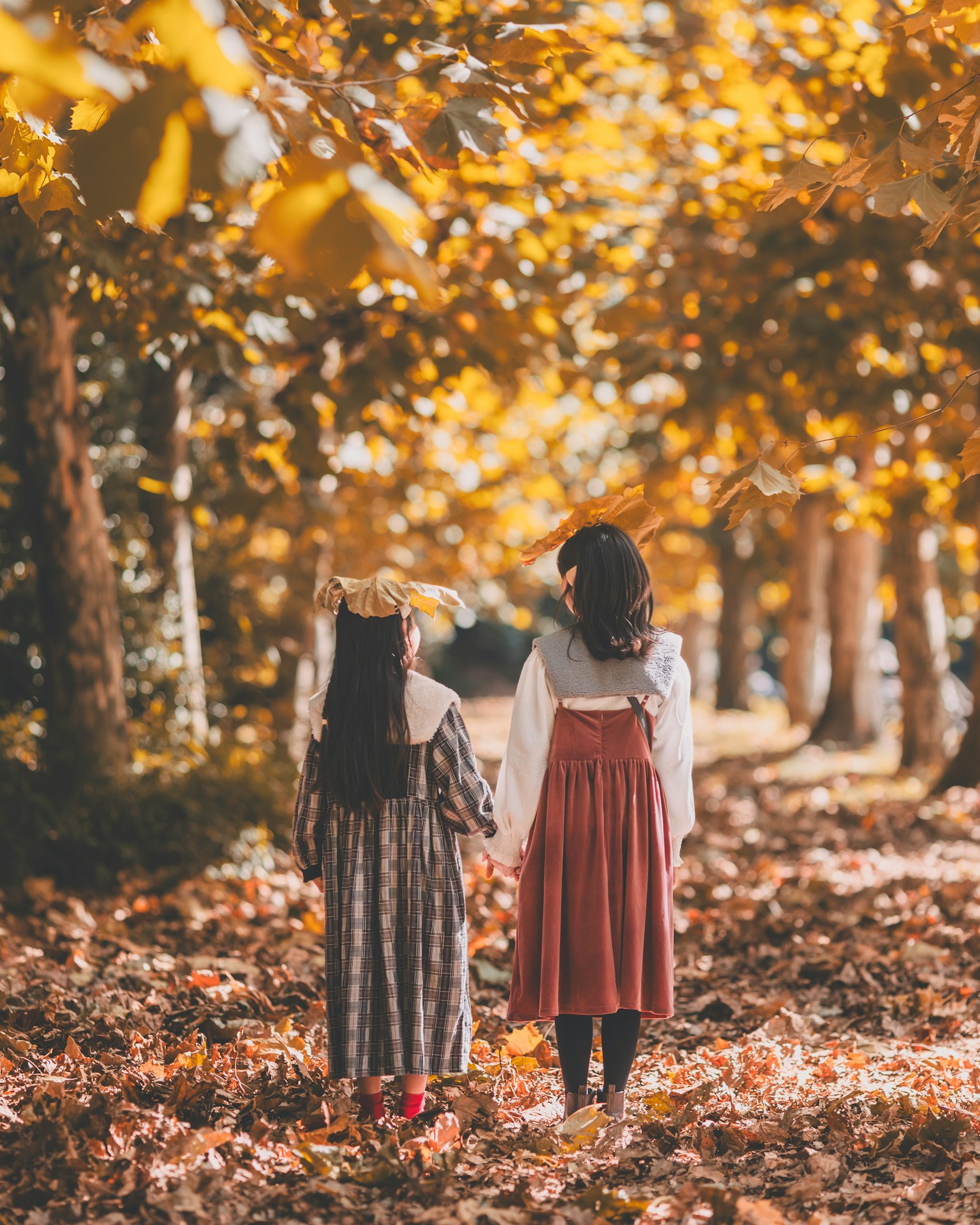 Deux filles marchant main dans la main sur un chemin bordé d'arbres d'automne