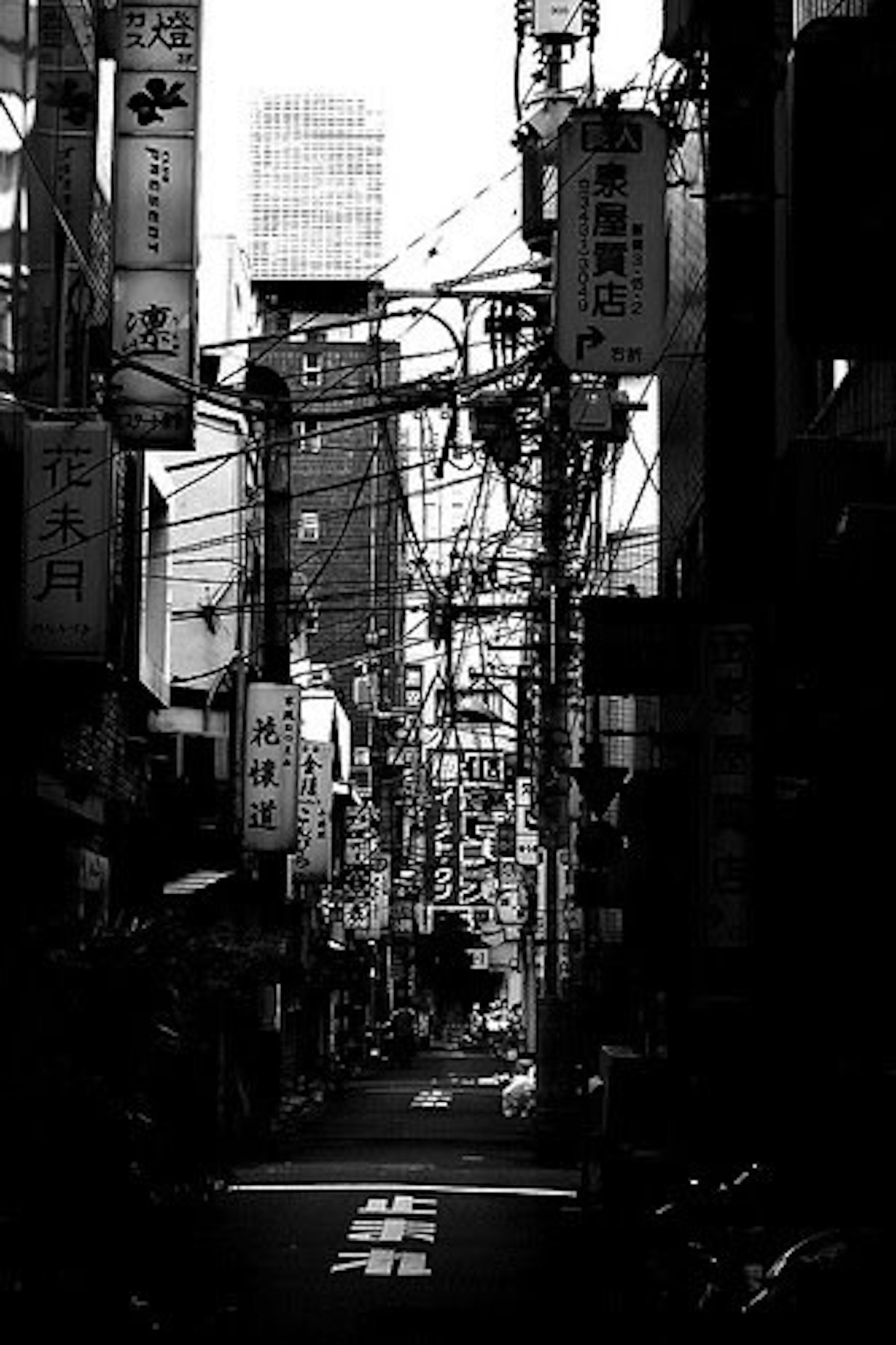 東京の狭い路地に立ち並ぶ看板と電線のモノクロ写真