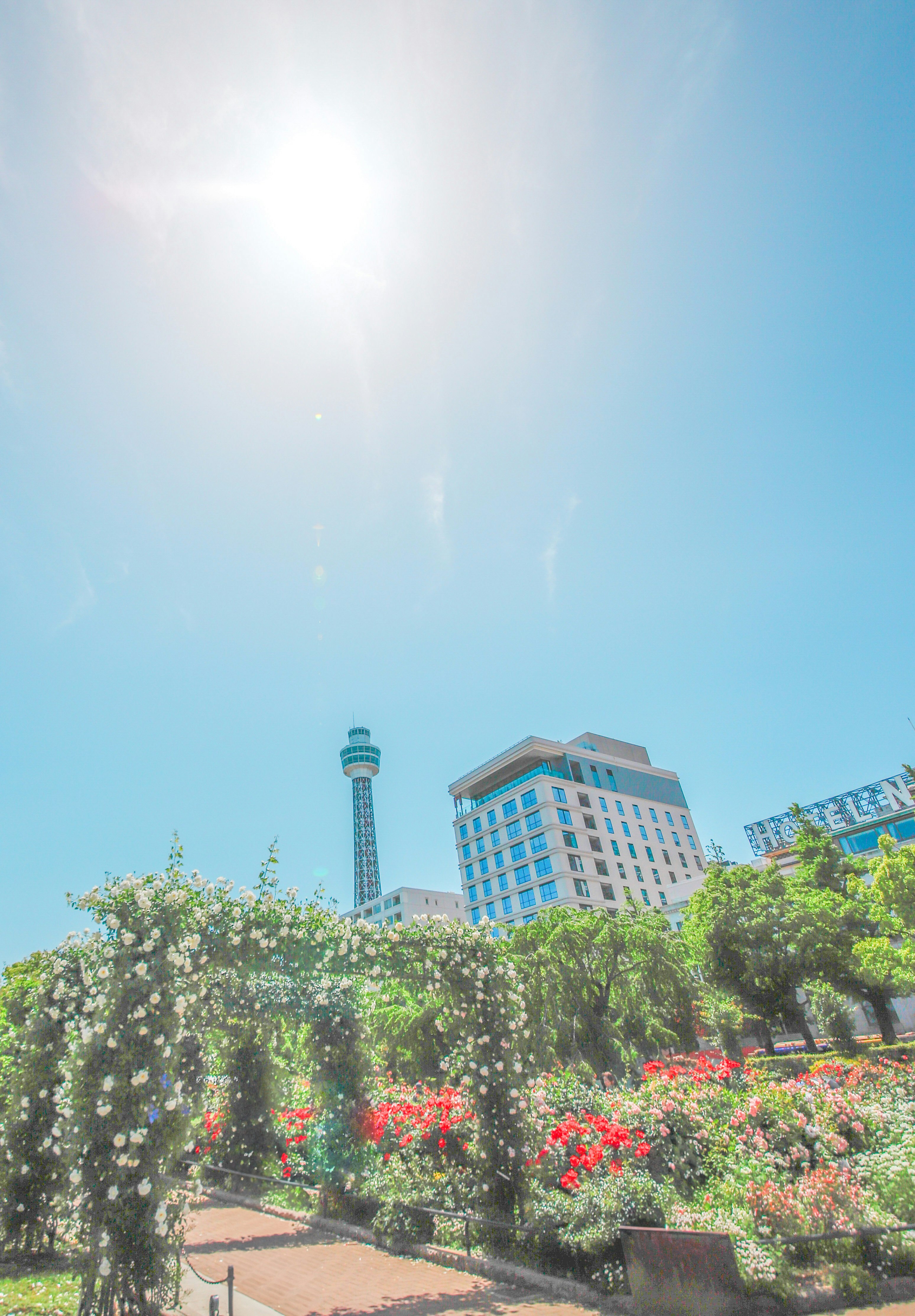 青空の下、花壇と並木のある公園の景色