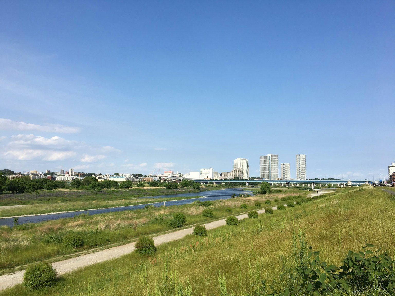 藍天下河流與綠色草地的風景 背景中有城市摩天大樓