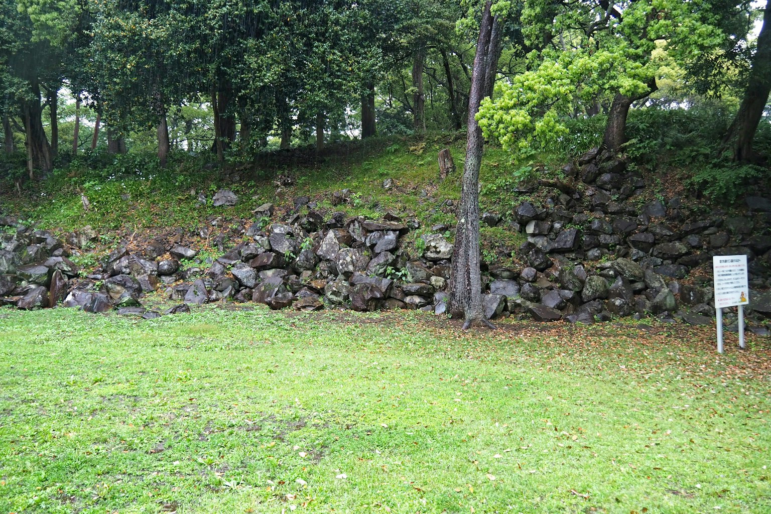 郁郁蔥蔥的公園，岩石牆和樹木