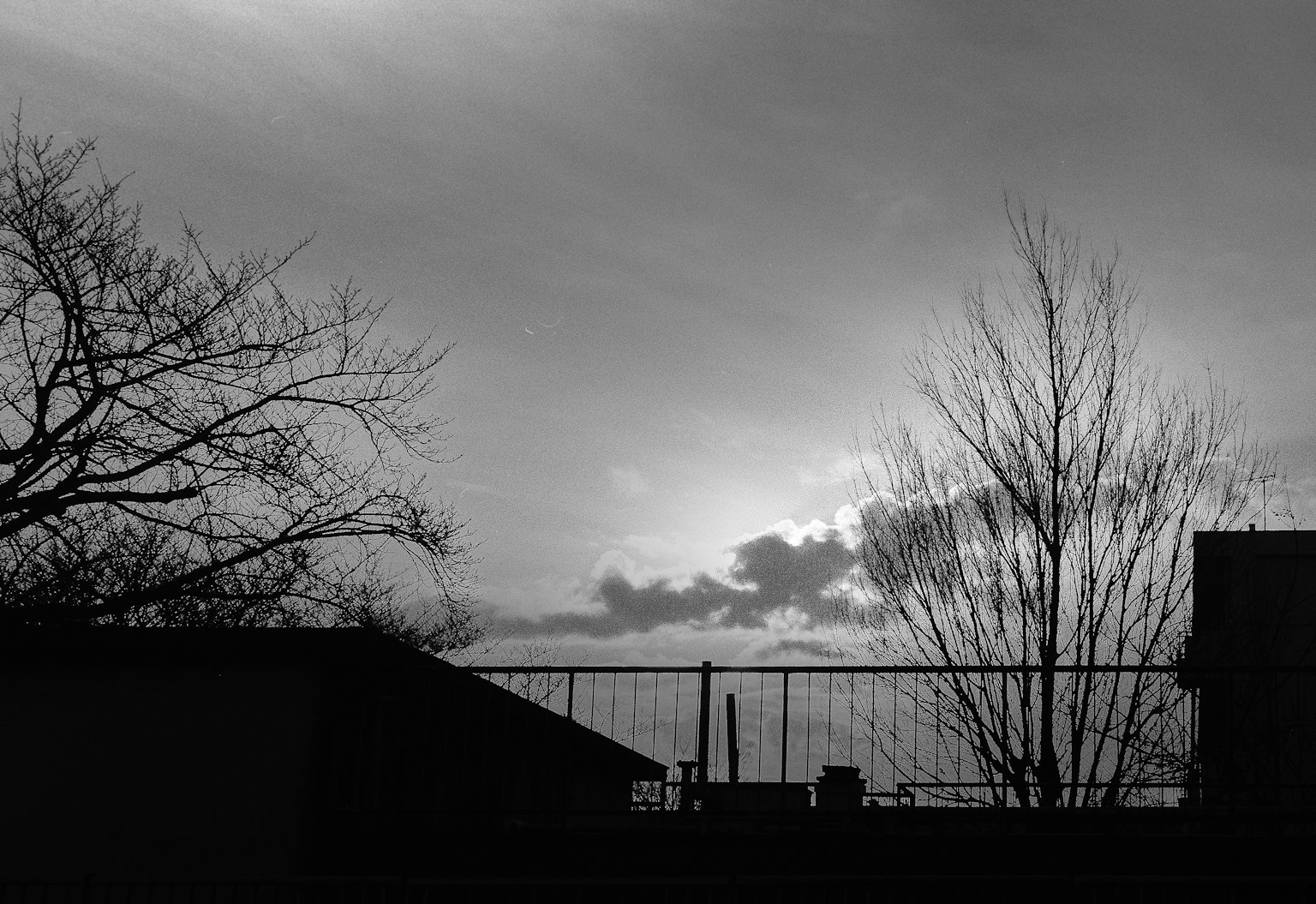 Alberi e edifici in silhouette contro un cielo in bianco e nero