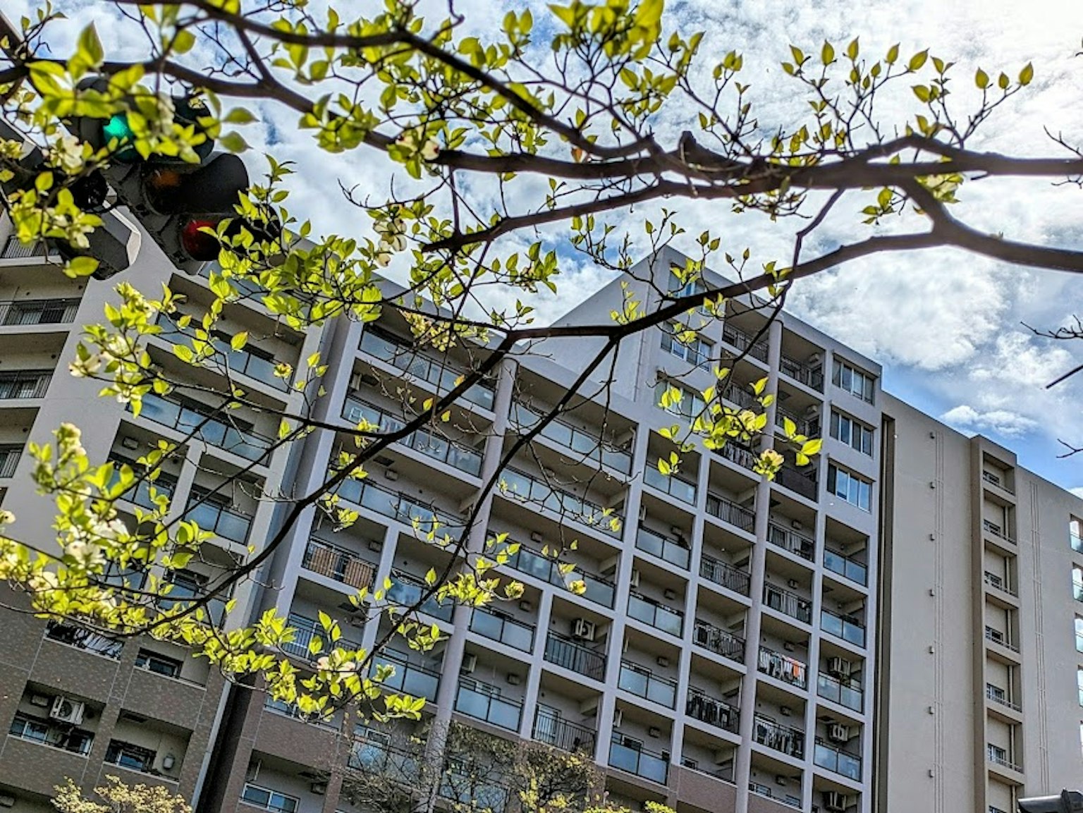 Edificio moderno di appartamenti con grandi finestre circondato da foglie verdi fresche