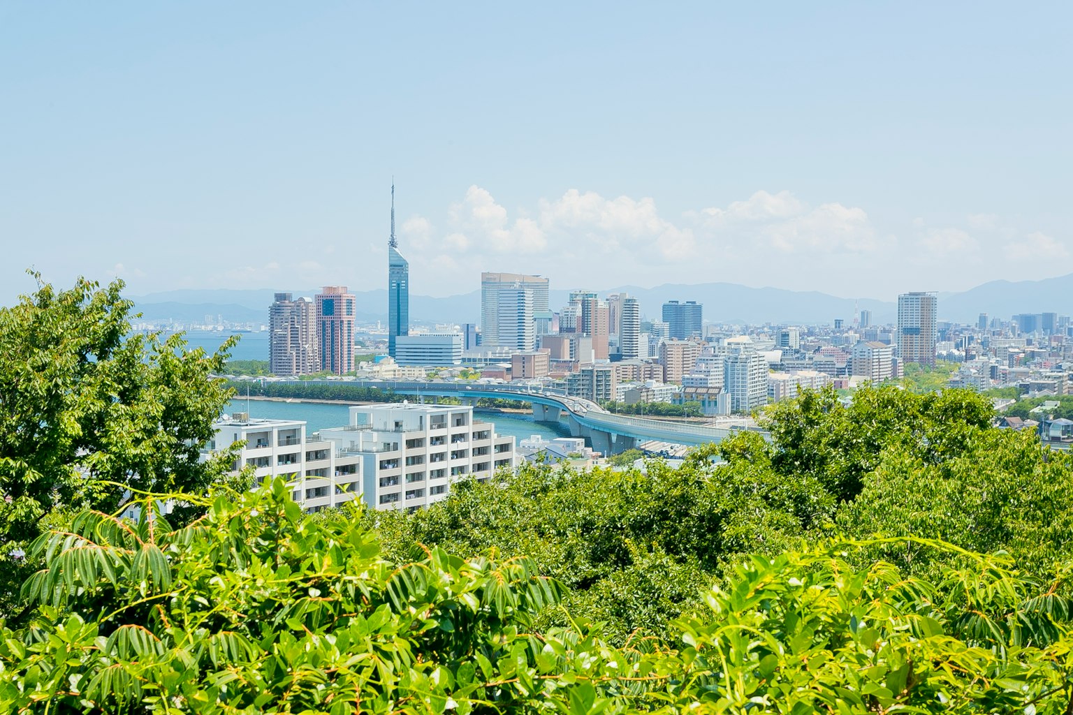 Toàn cảnh thành phố với Tokyo Skytree nhìn thấy giữa màu xanh tươi tốt