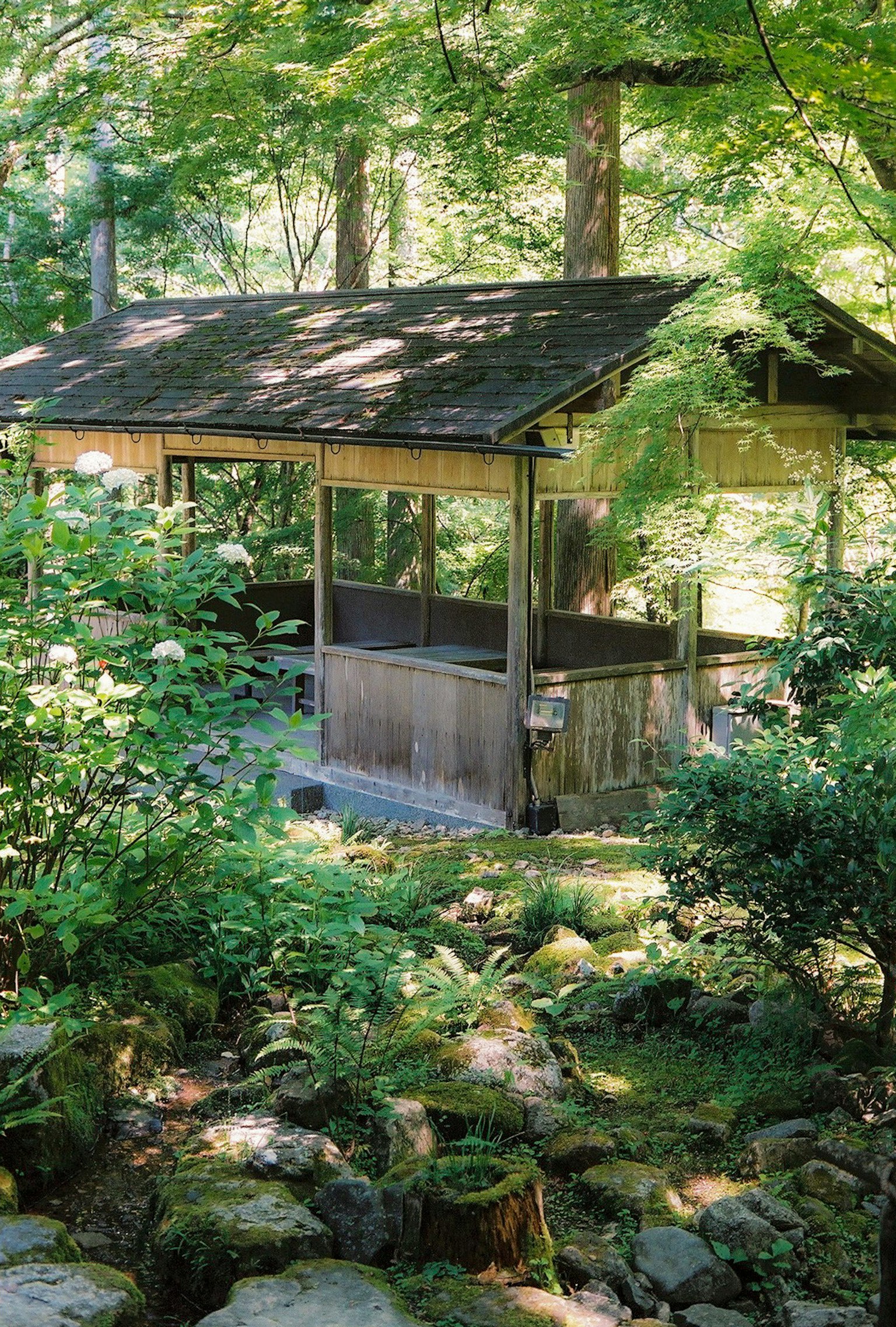 Un paysage serein avec un gazebo en bois entouré de verdure luxuriante