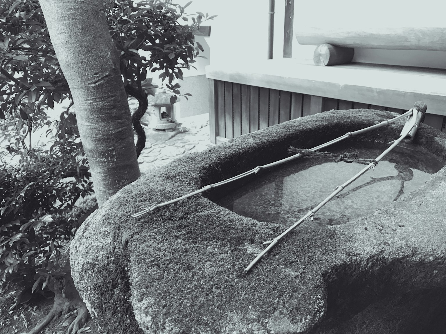 Bañera de piedra con una rama en un jardín